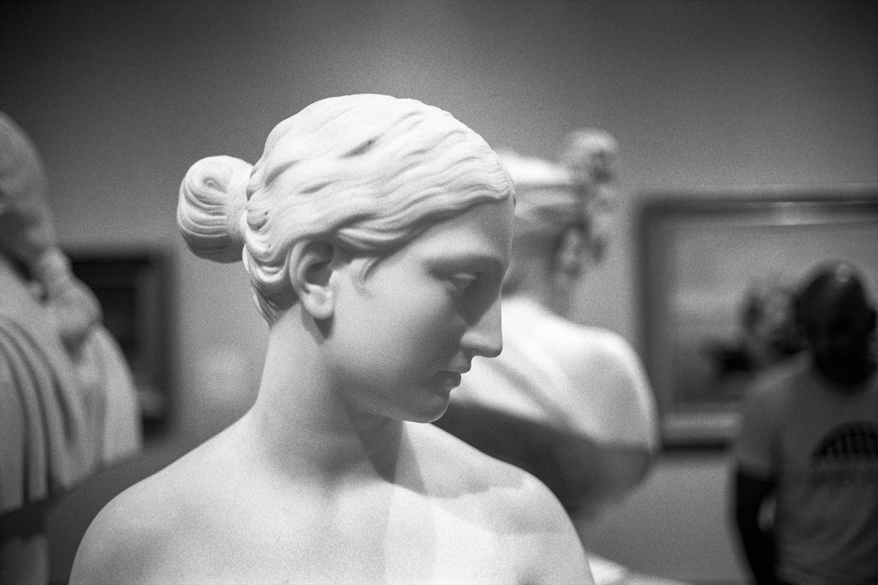 An Hour at the MIA: Marble bust in profile