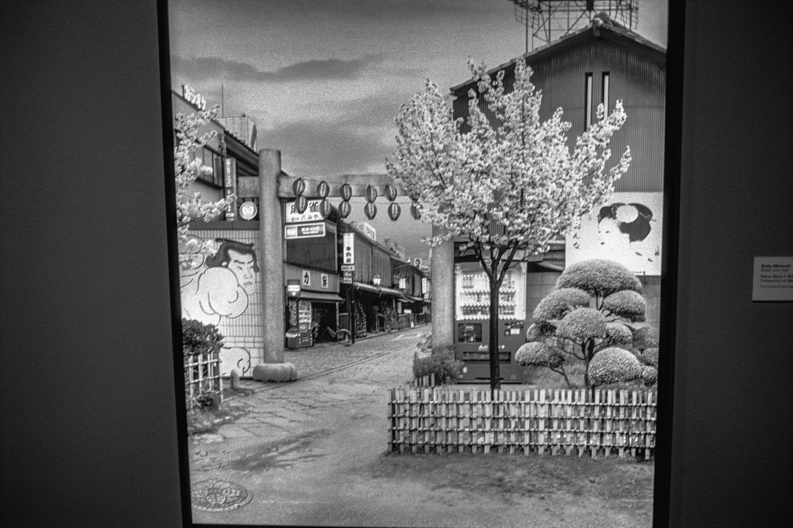 An Hour at the MIA: Framed transparency, Tokyo street
