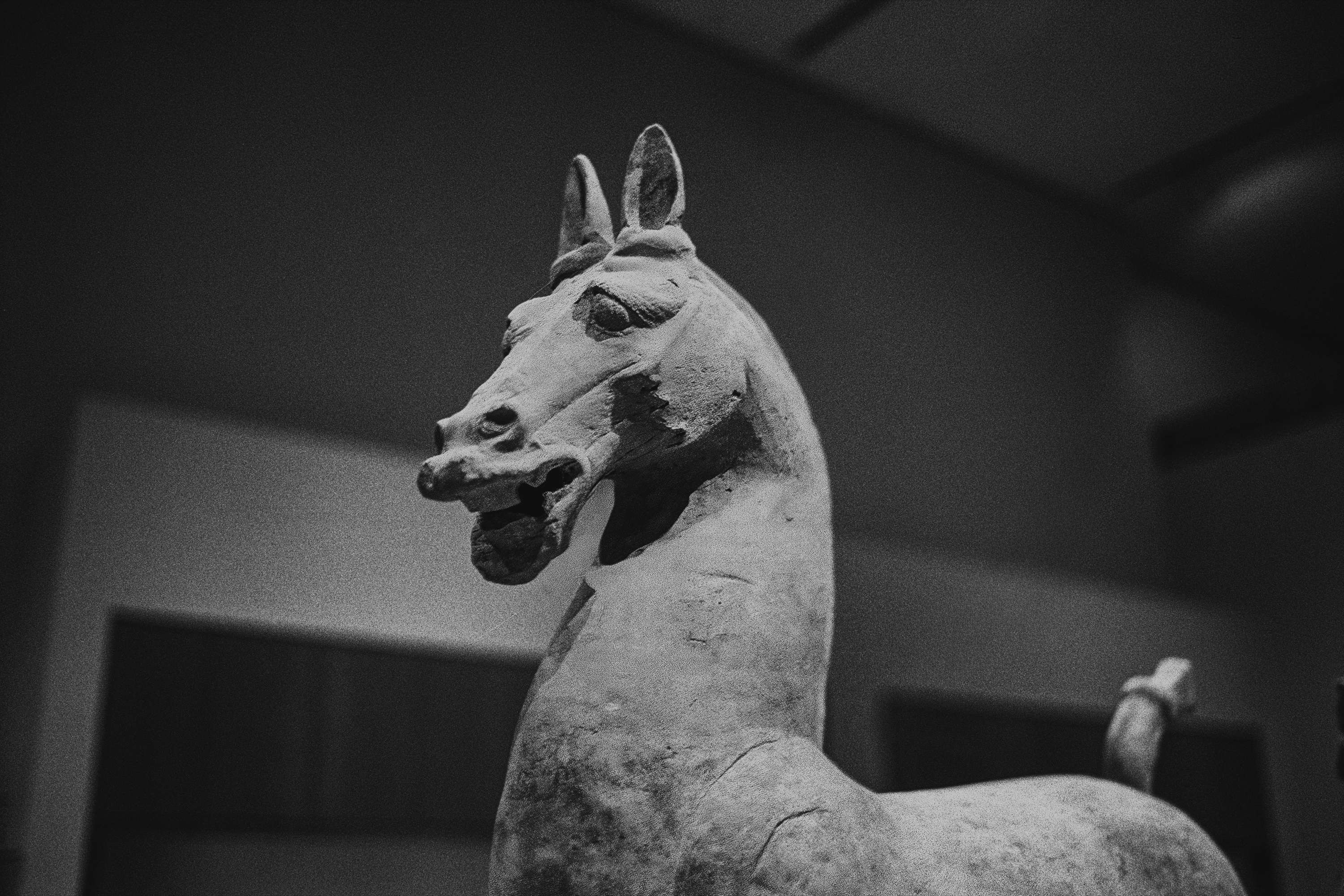 An Hour at the MIA: Terracotta horse