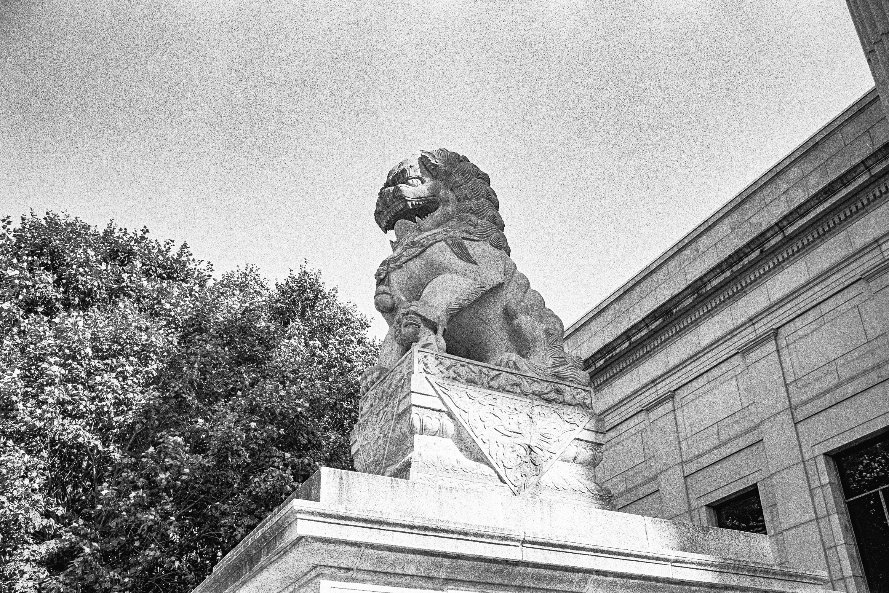 An Hour at the MIA: Stone guardian lion