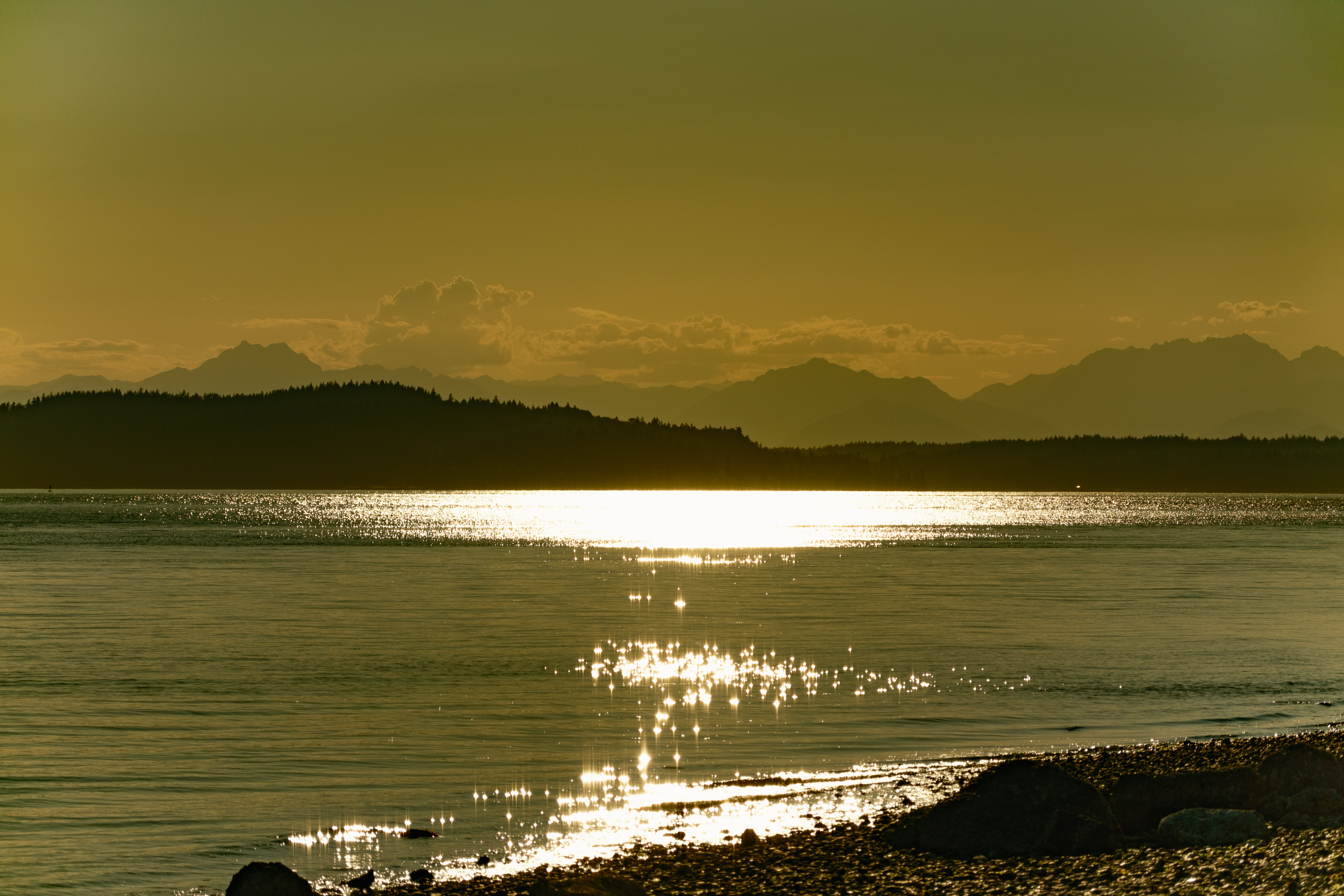 Chasing light on the Puget Sound