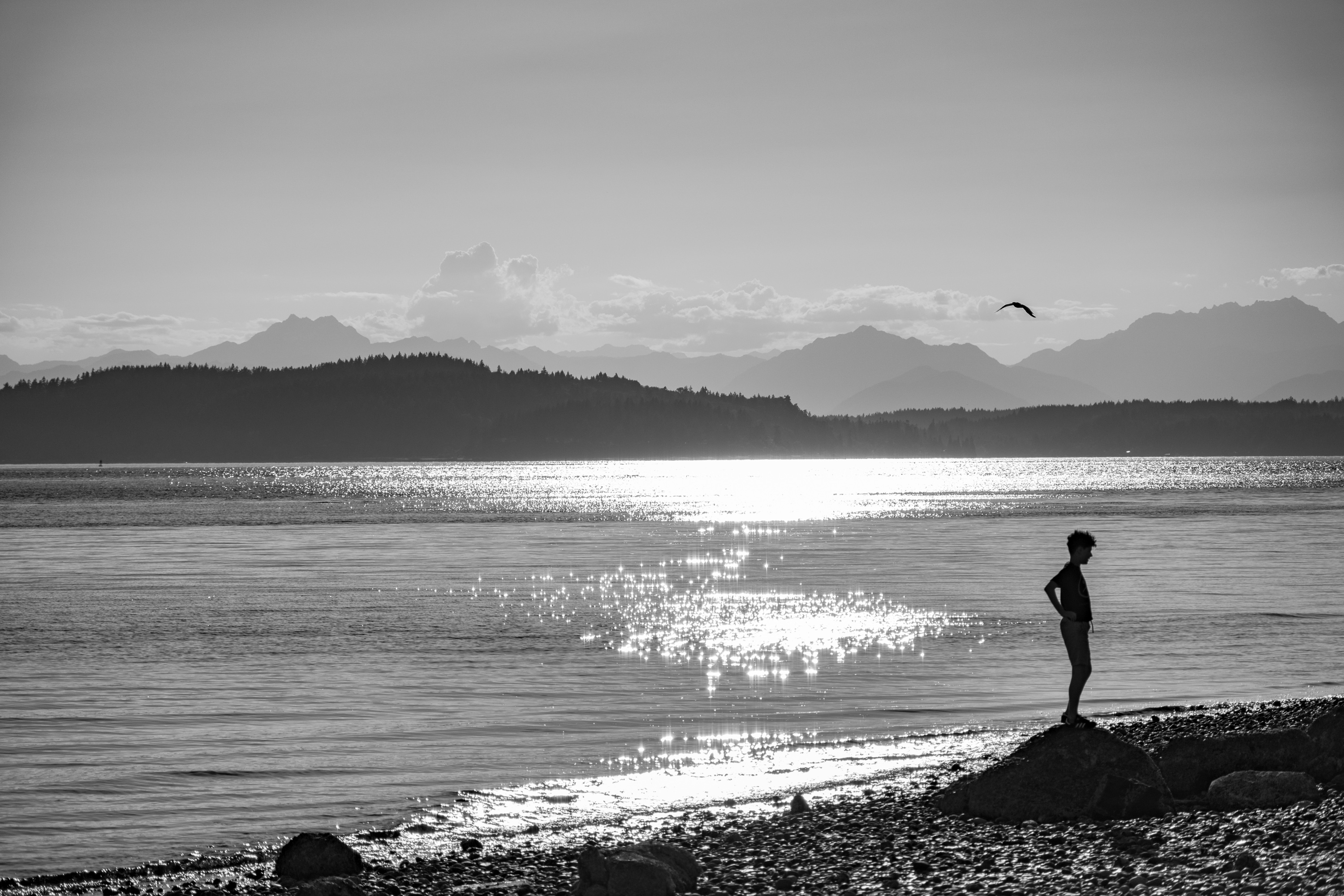 Chasing light on the Puget Sound