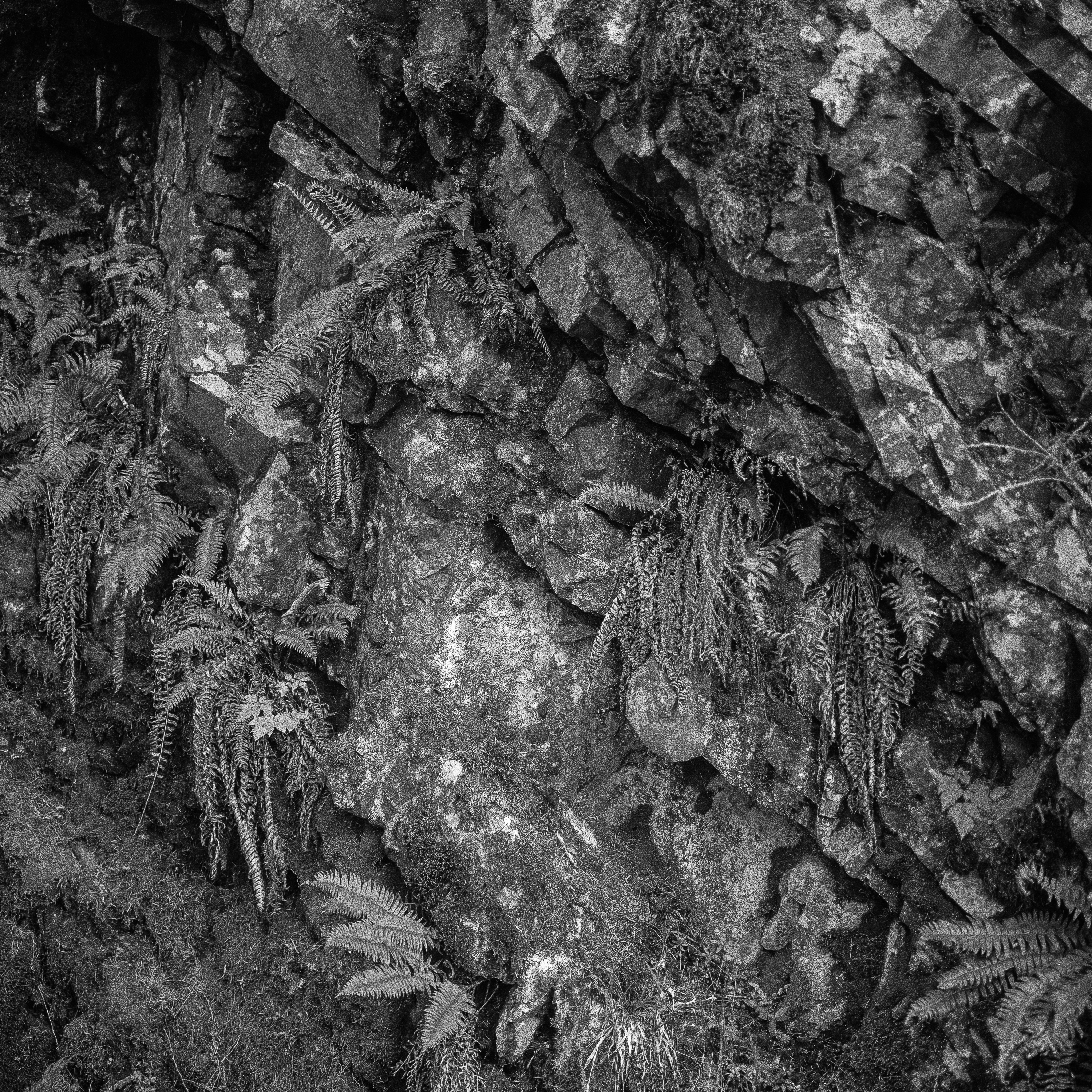 Wall