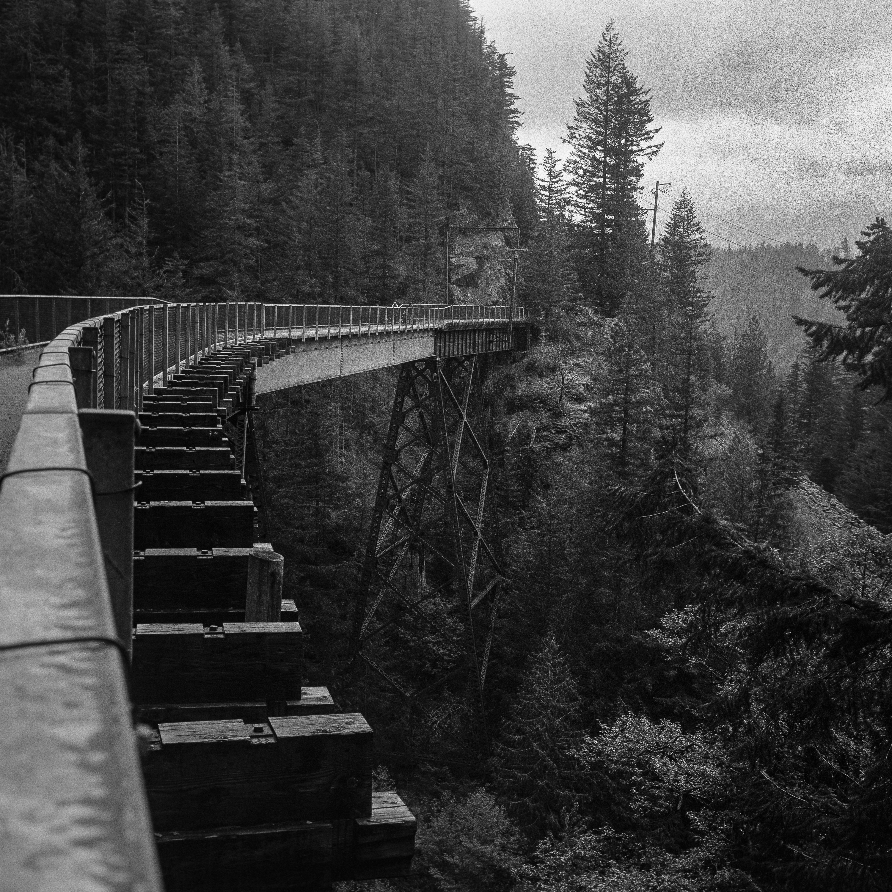 Trestle