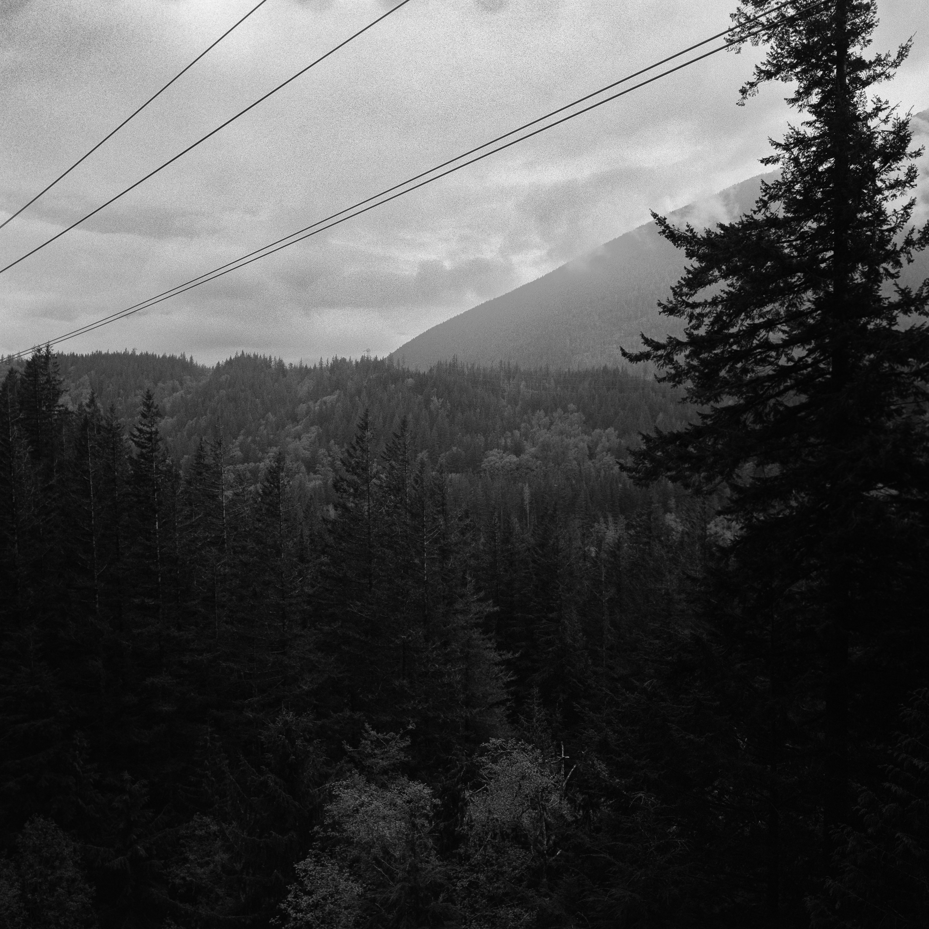 Wires