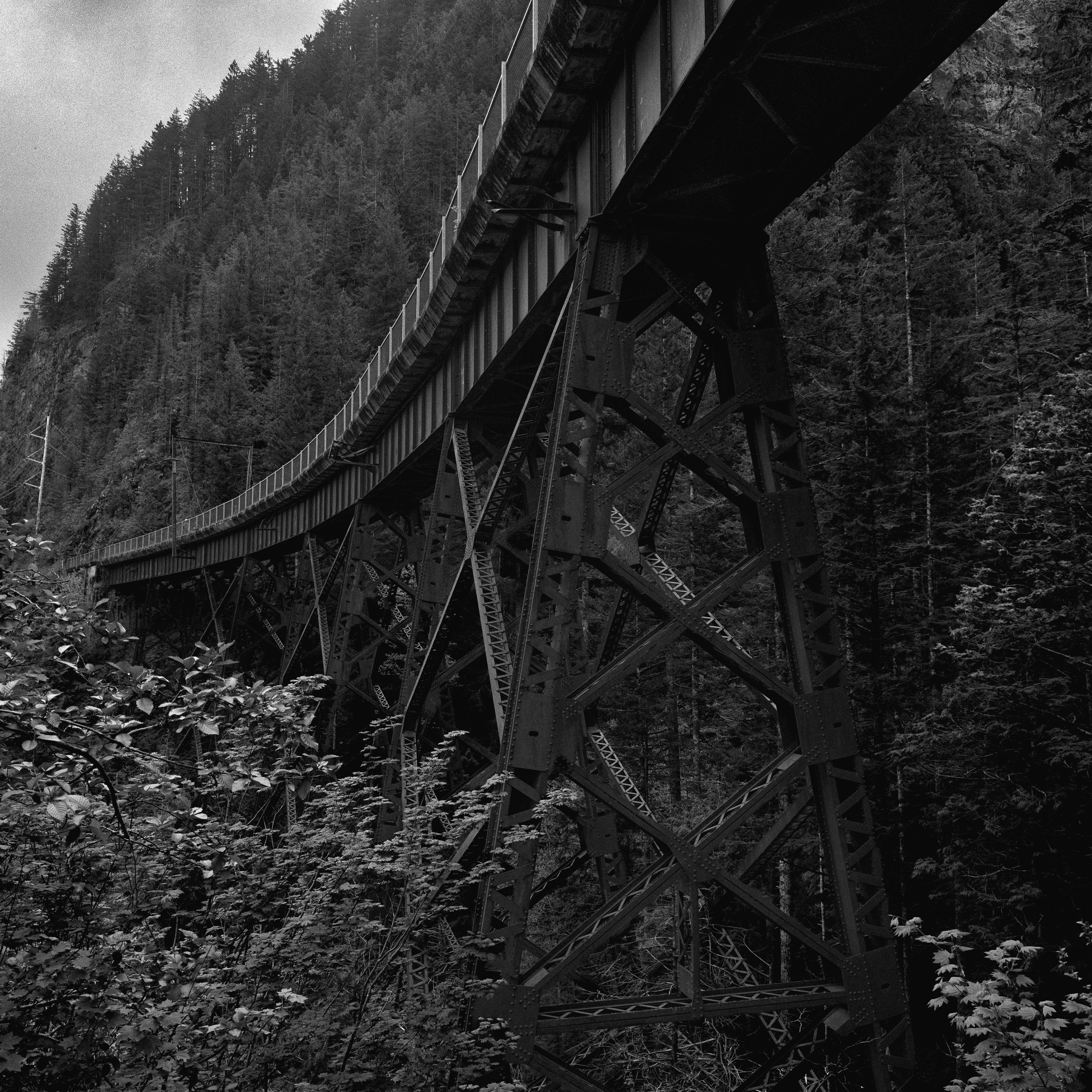 Trestle III