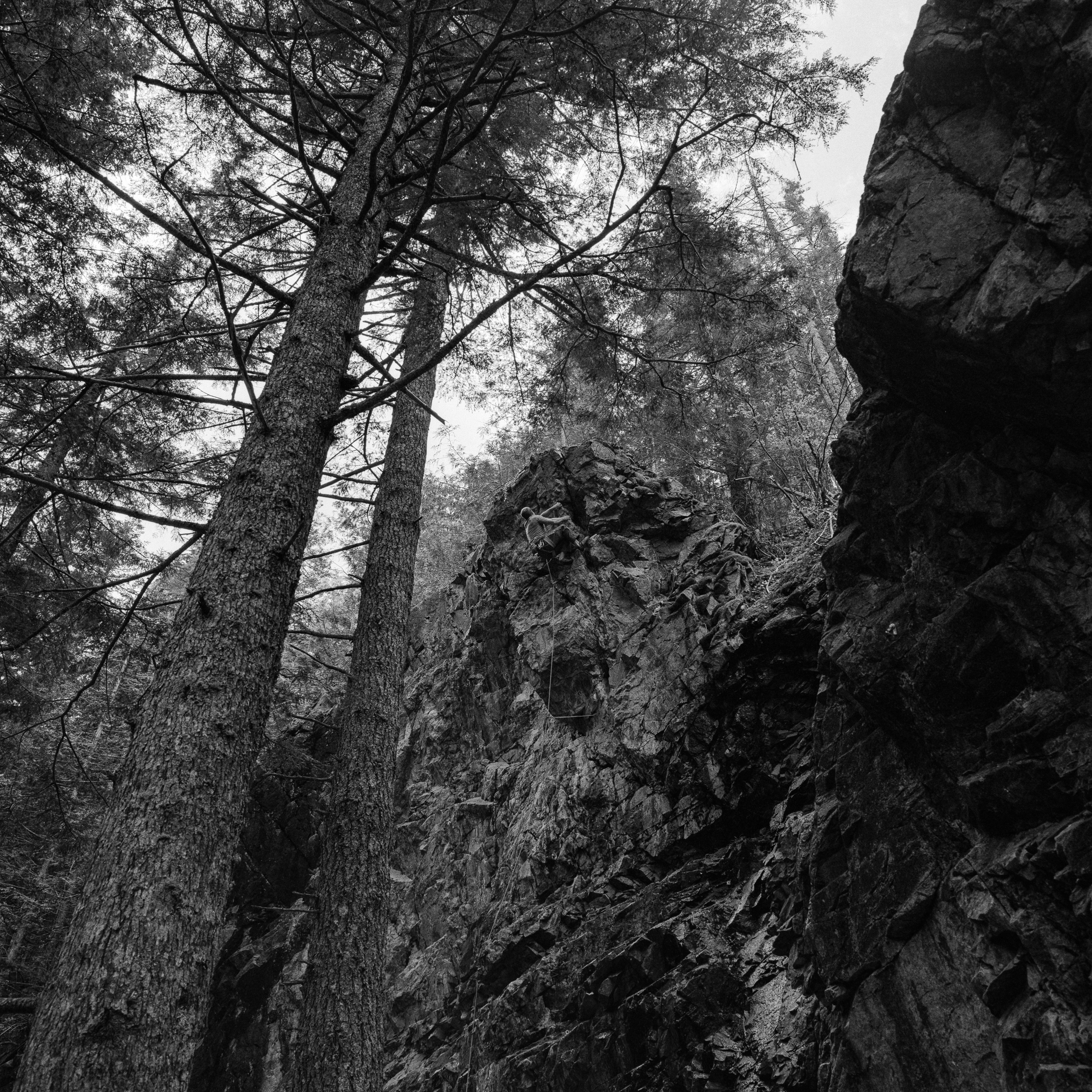 Belay II