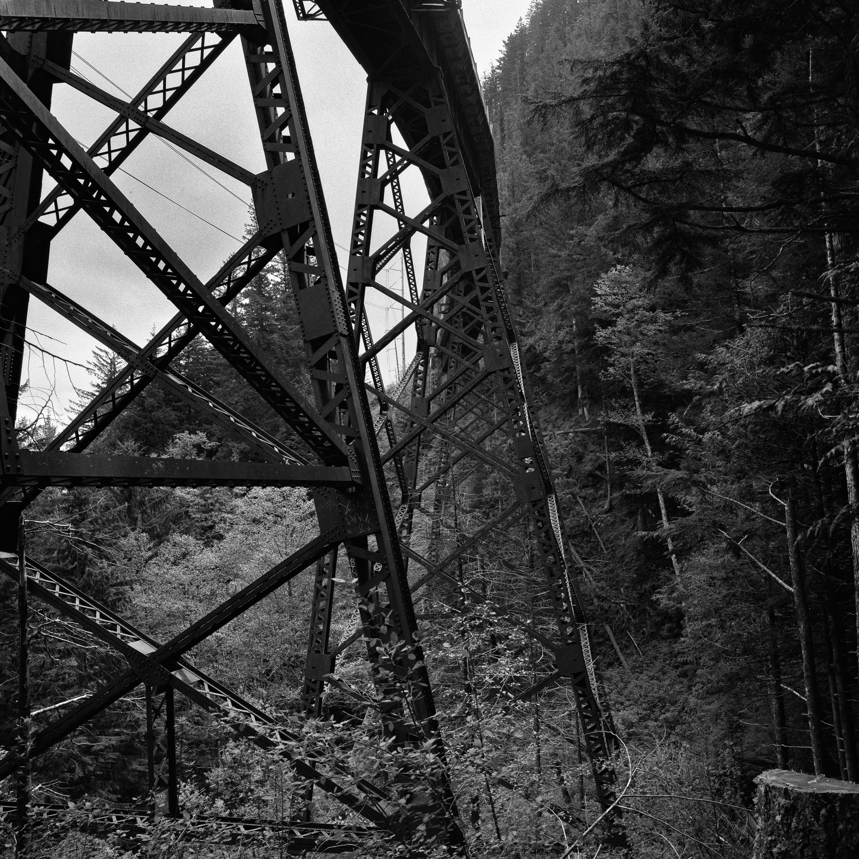 Trestle IV