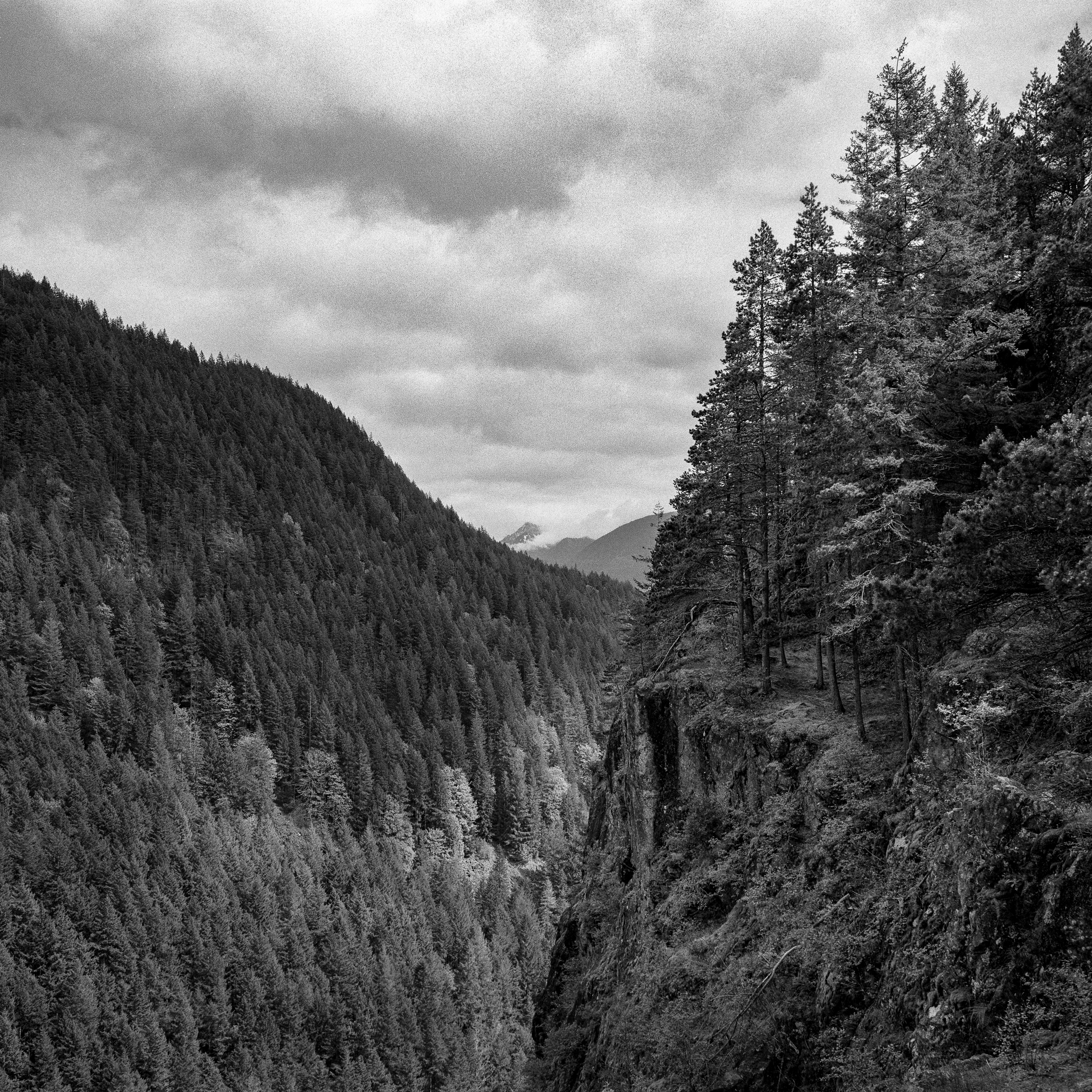 From Little Si: Valley