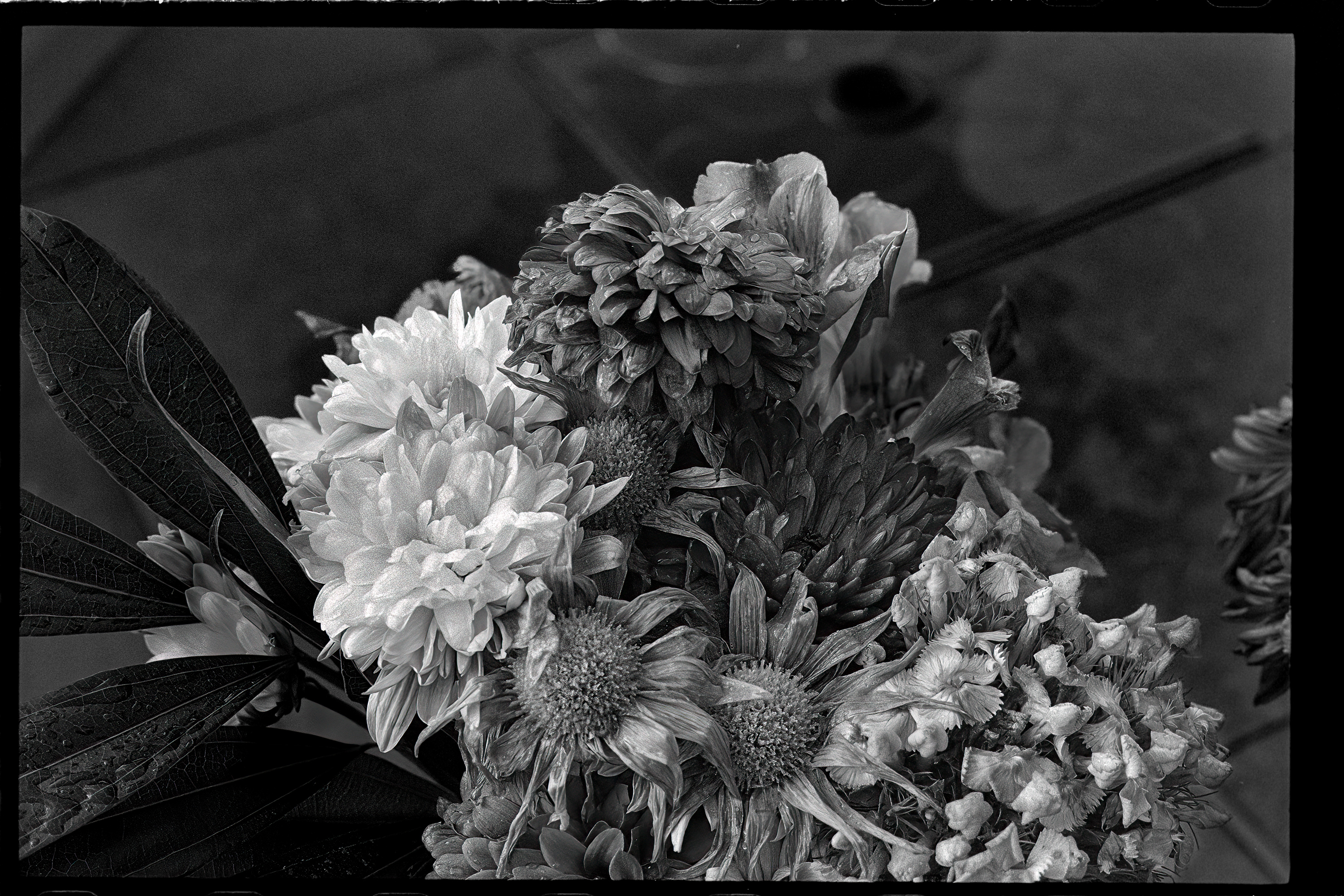 Bouquet of flowers, frame 001