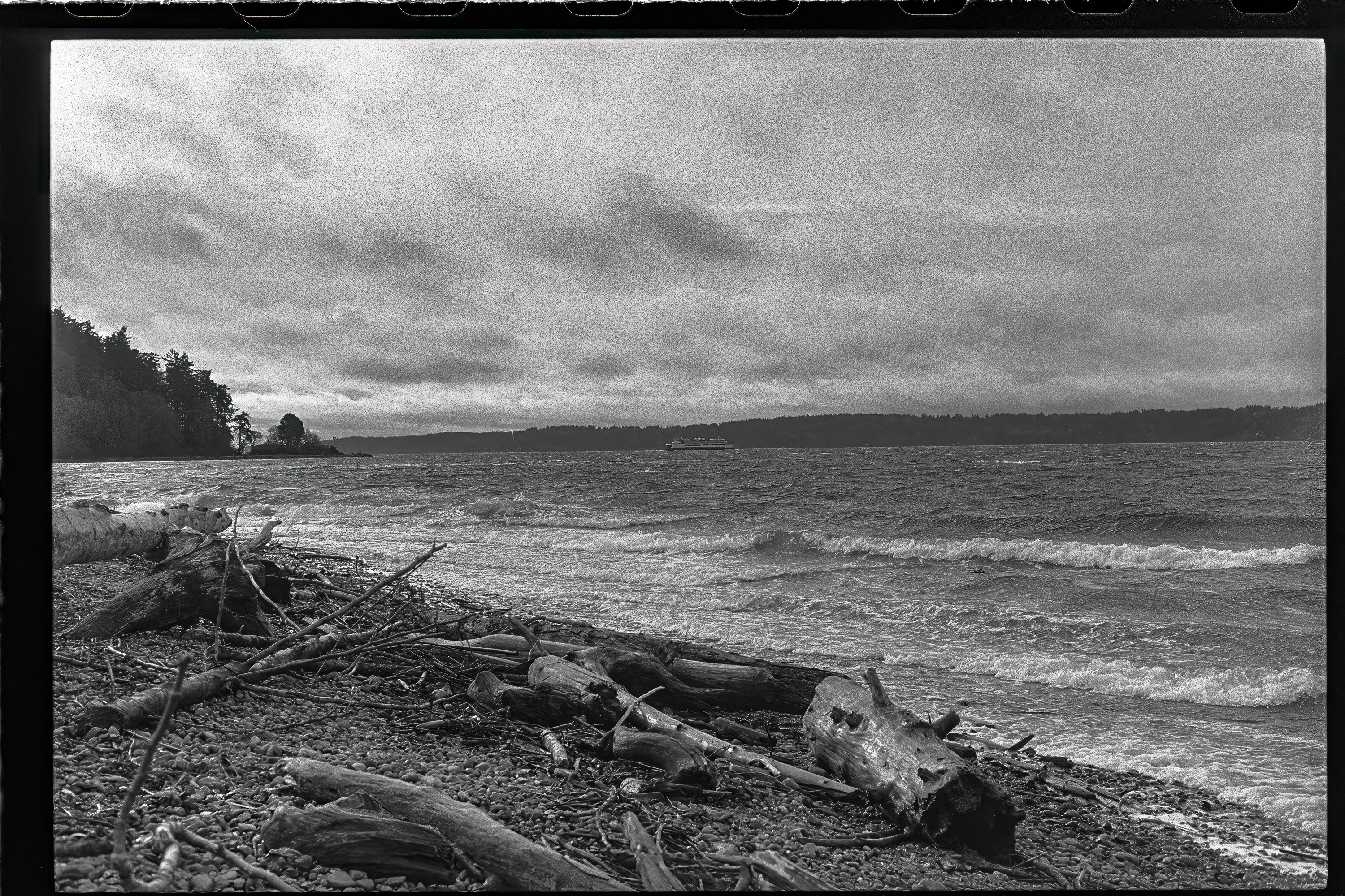 Pacific Northwest beach, frame 005