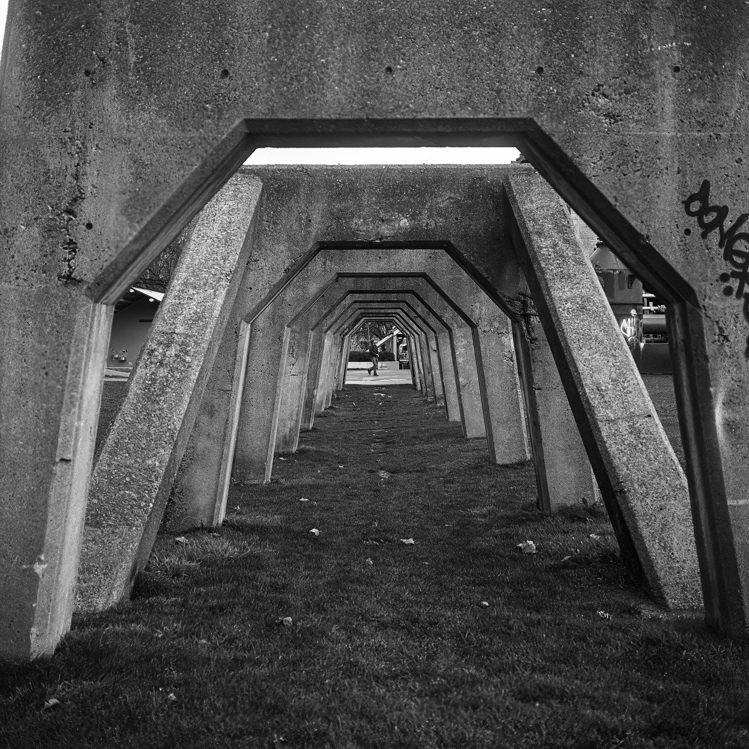 Gas Works Park, frame 012