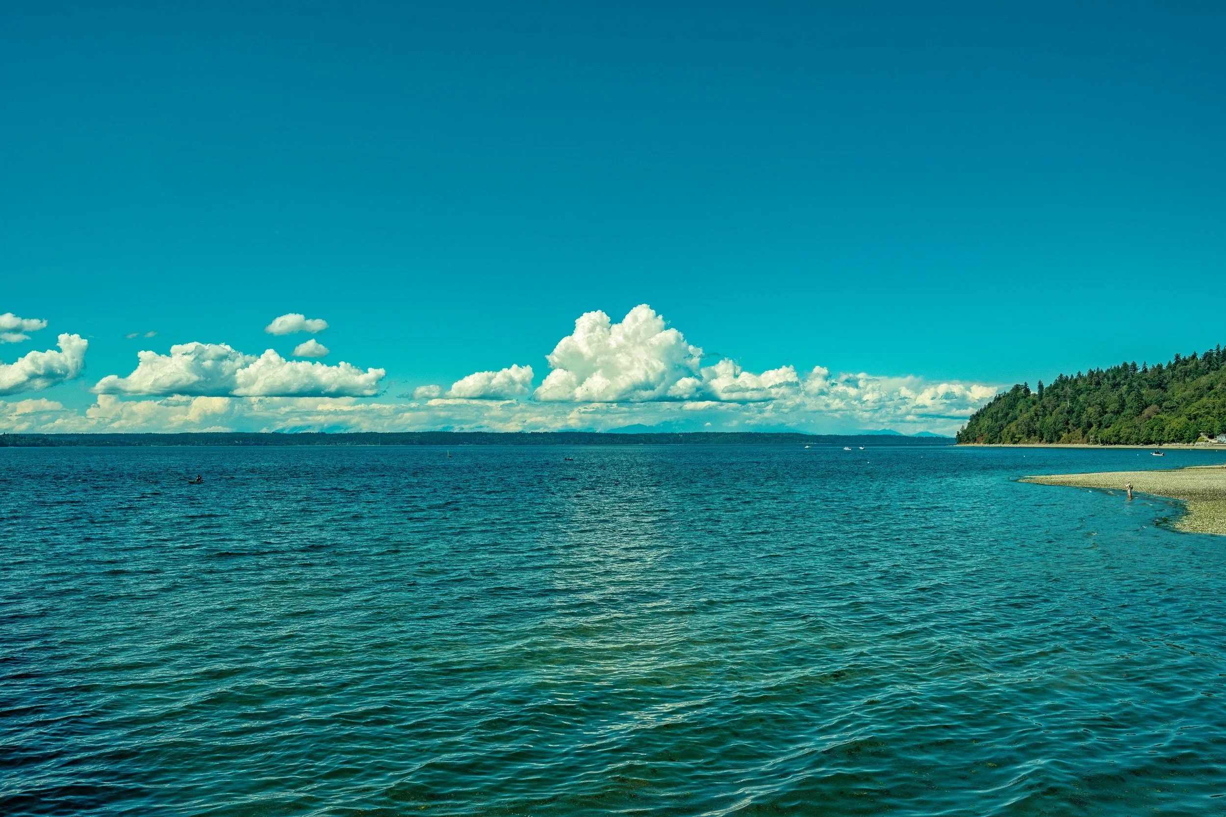 Coastal study