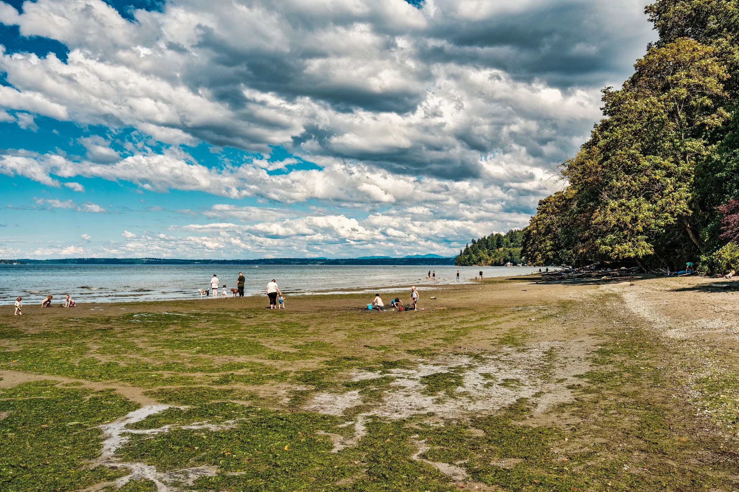 Coastal scene