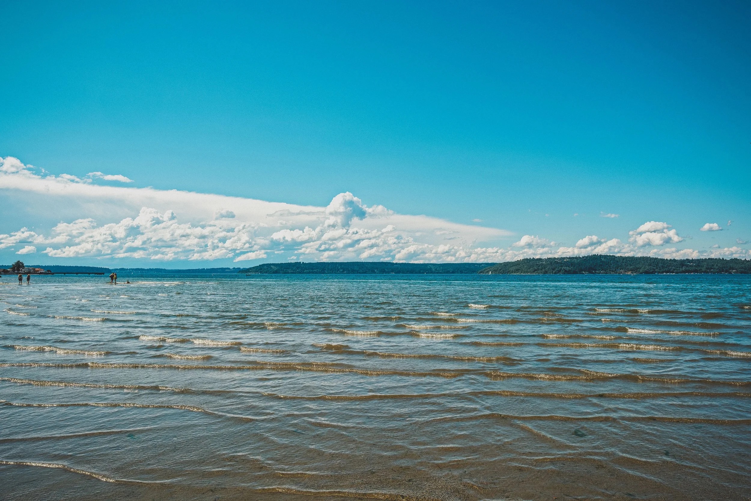 Coastal scene