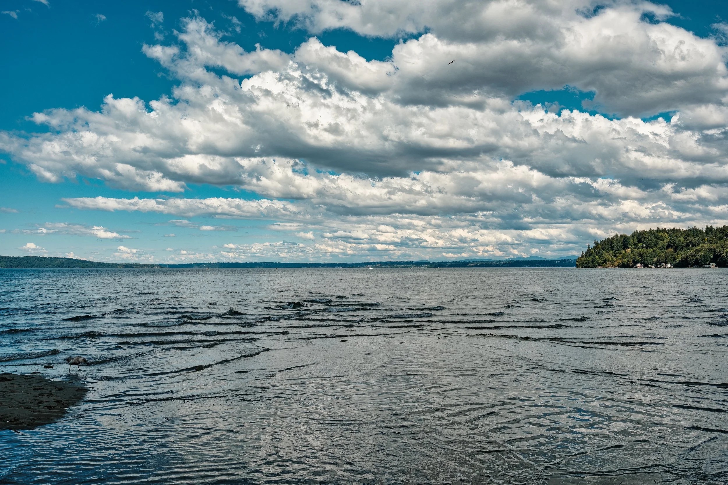 Water and clouds