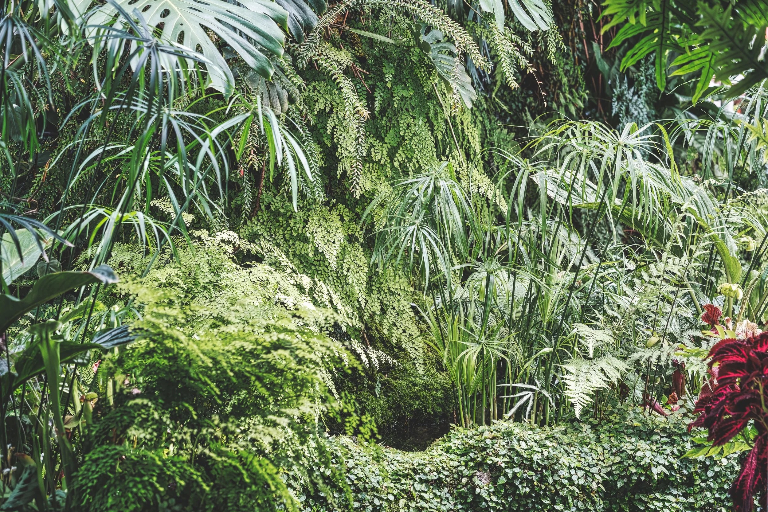 Conservatory study