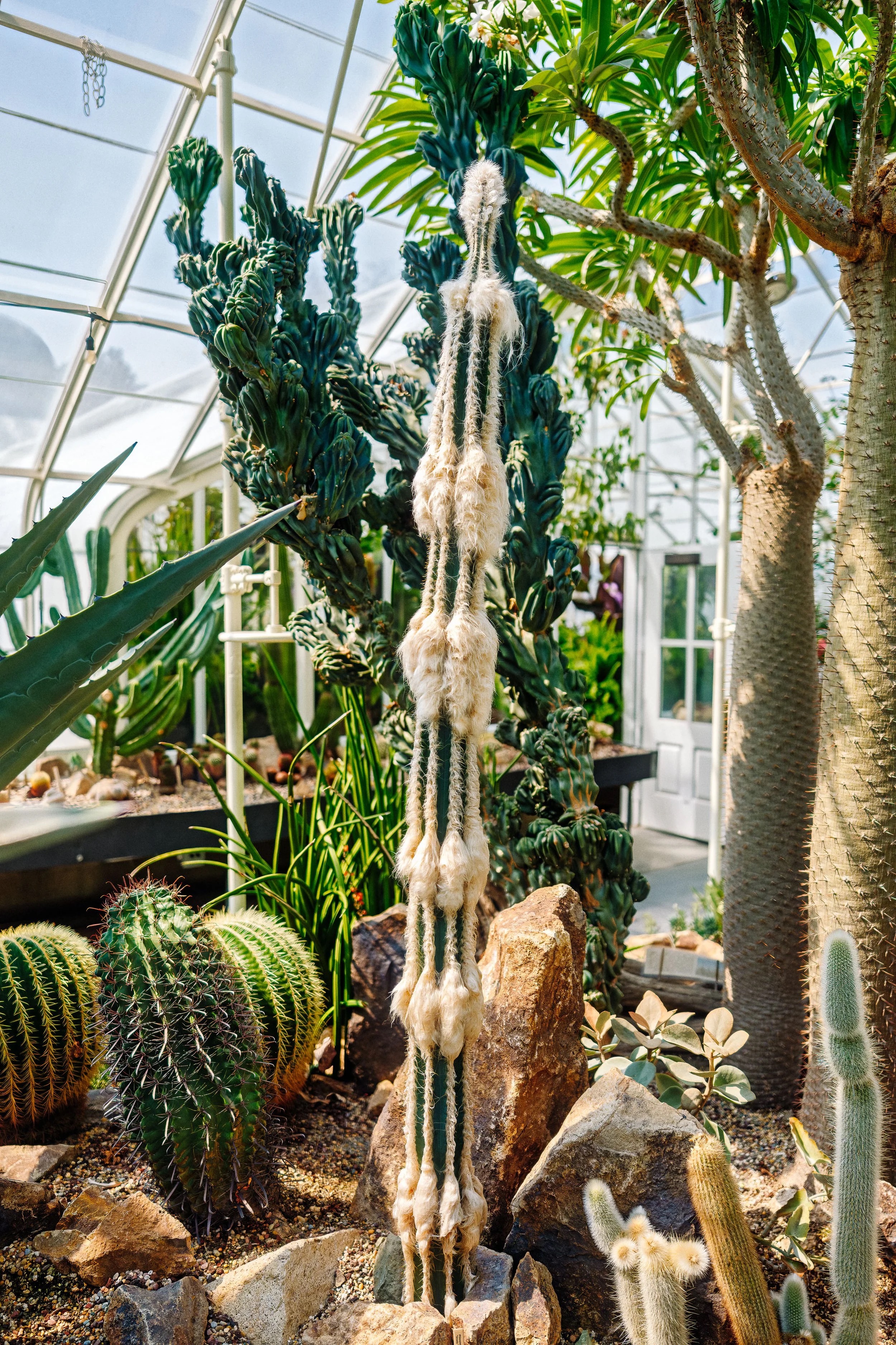 Conservatory study