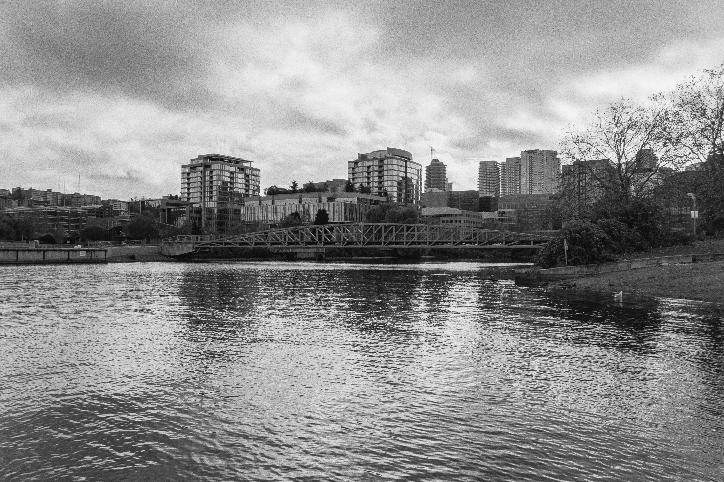 South Lake Union skyline across the water