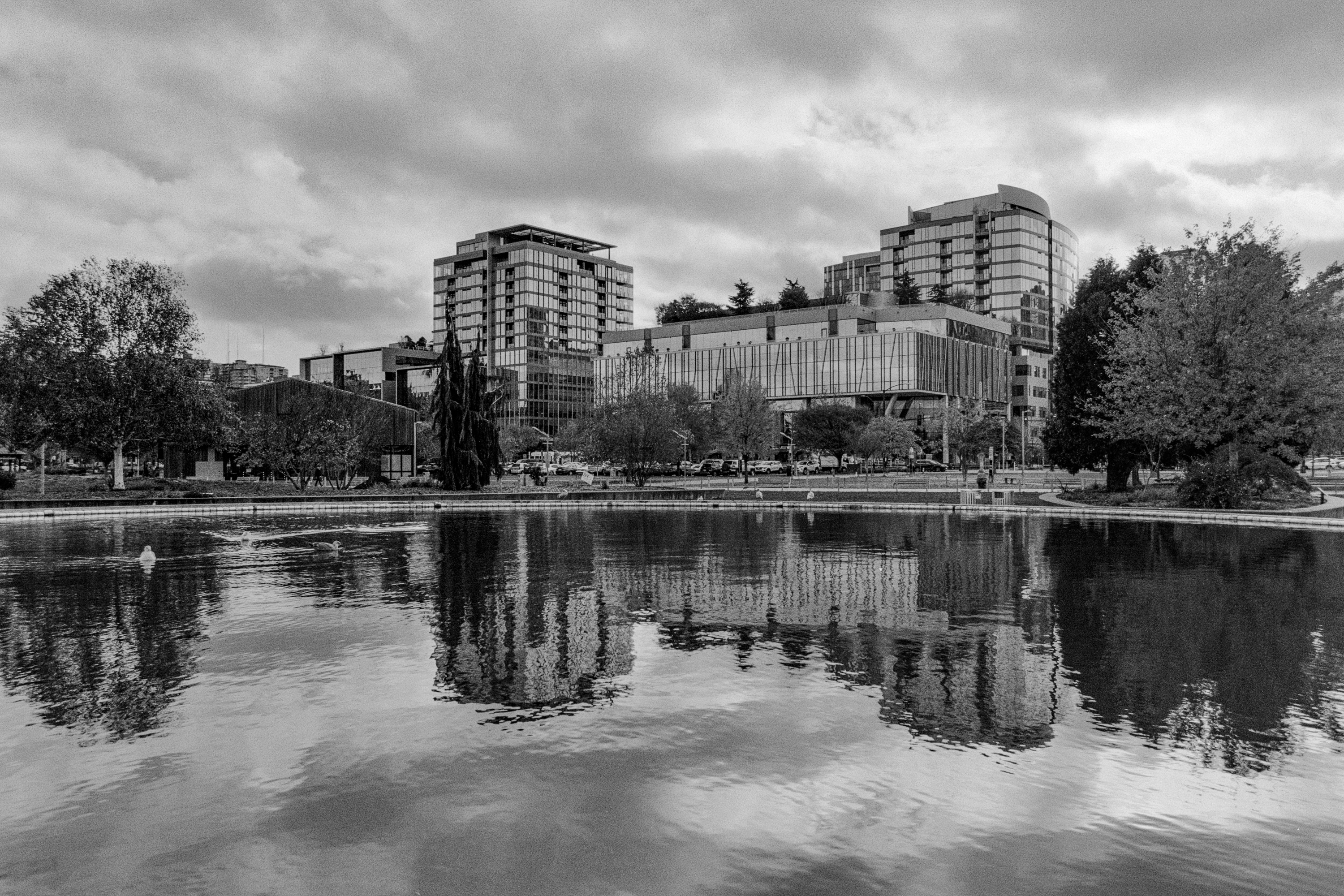 South Lake Union study