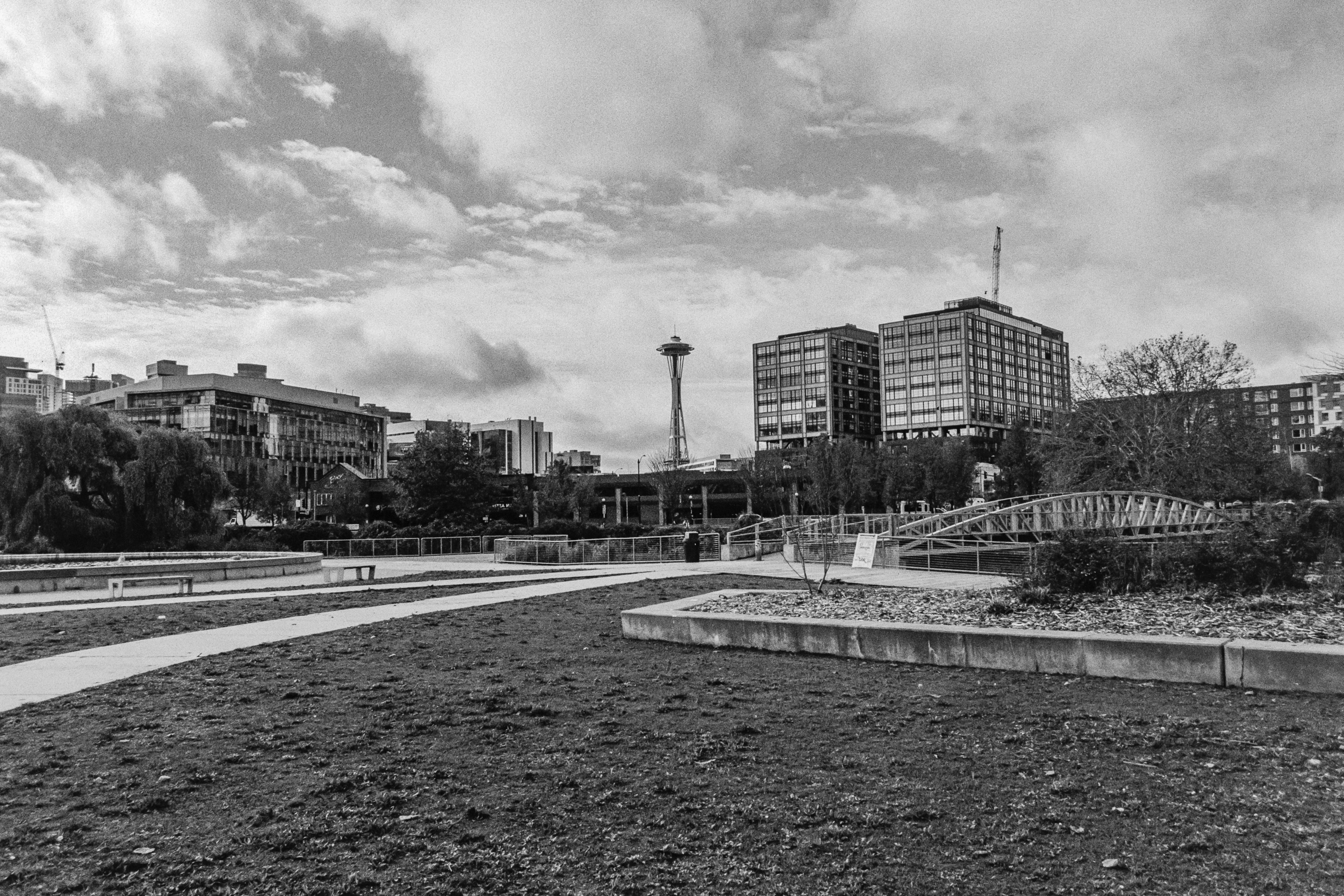 South Lake Union study