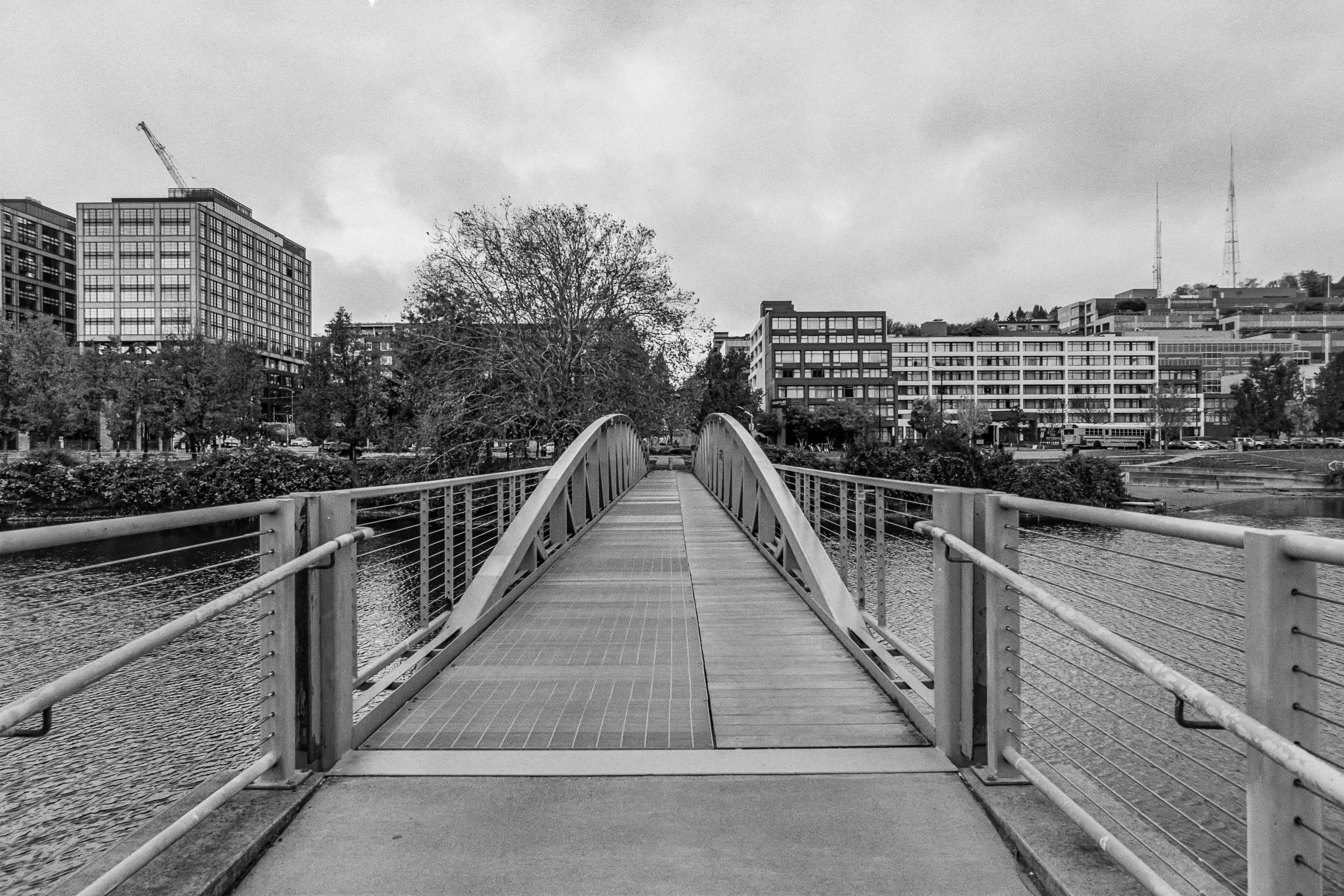 South Lake Union study