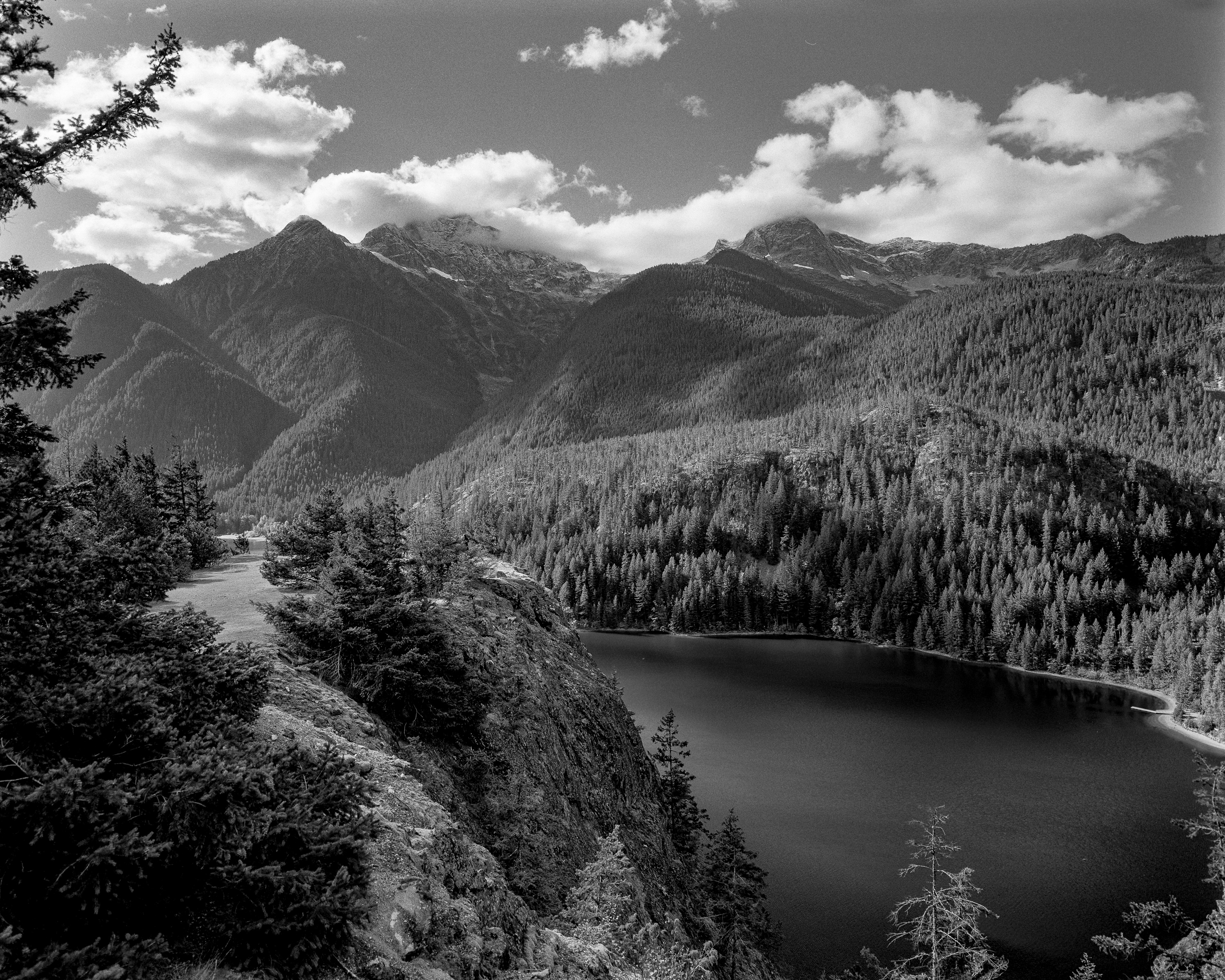 North Cascades Perspective: Stone and Spruce