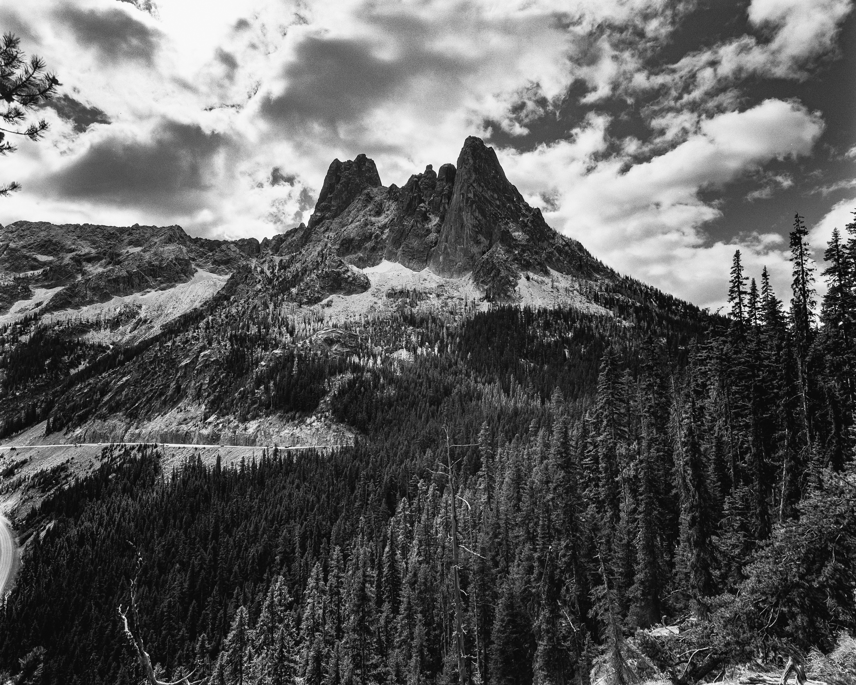 North Cascades Perspective: Spires Above the Pines