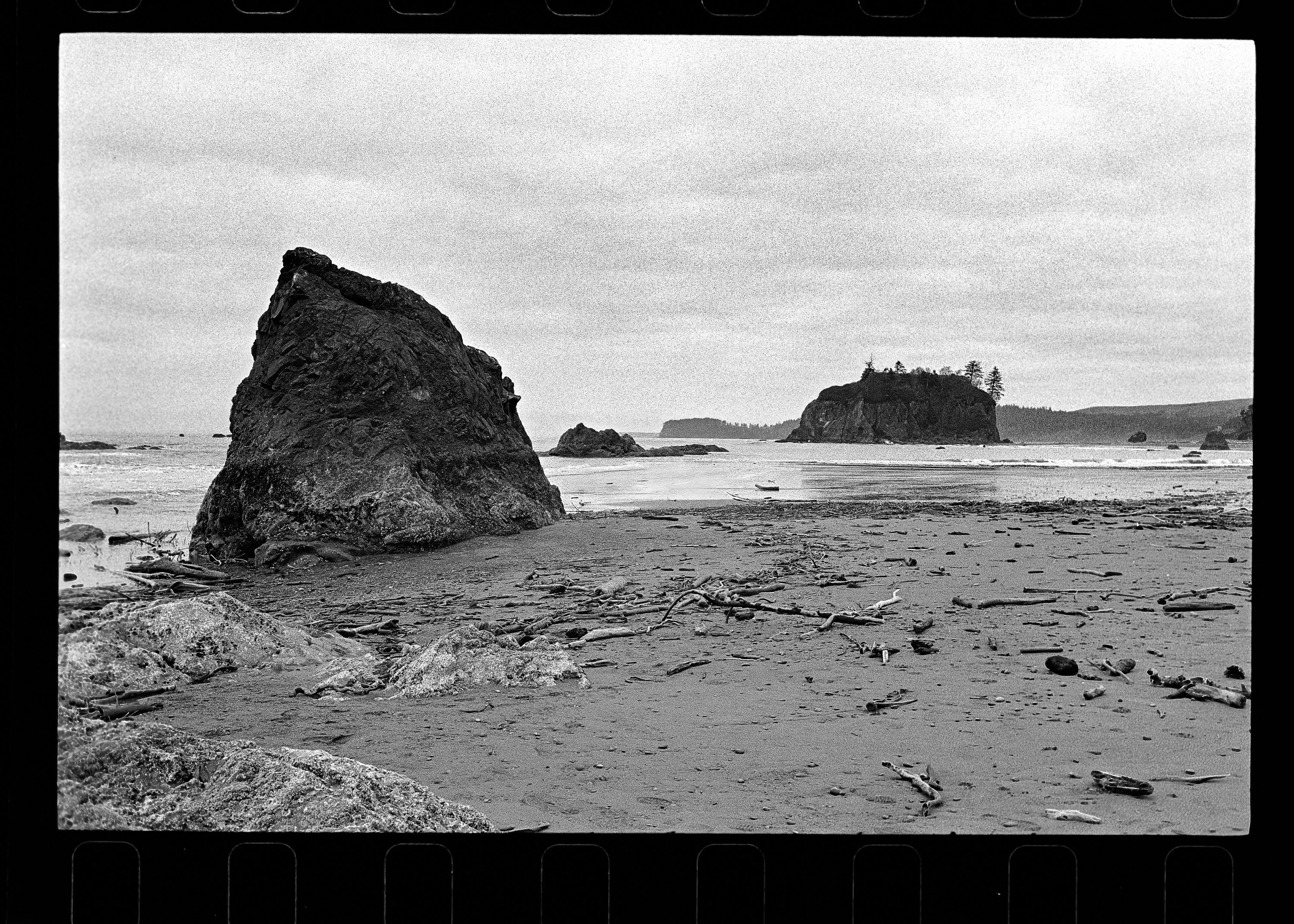 Sea stack and forested island, Ruby Beach