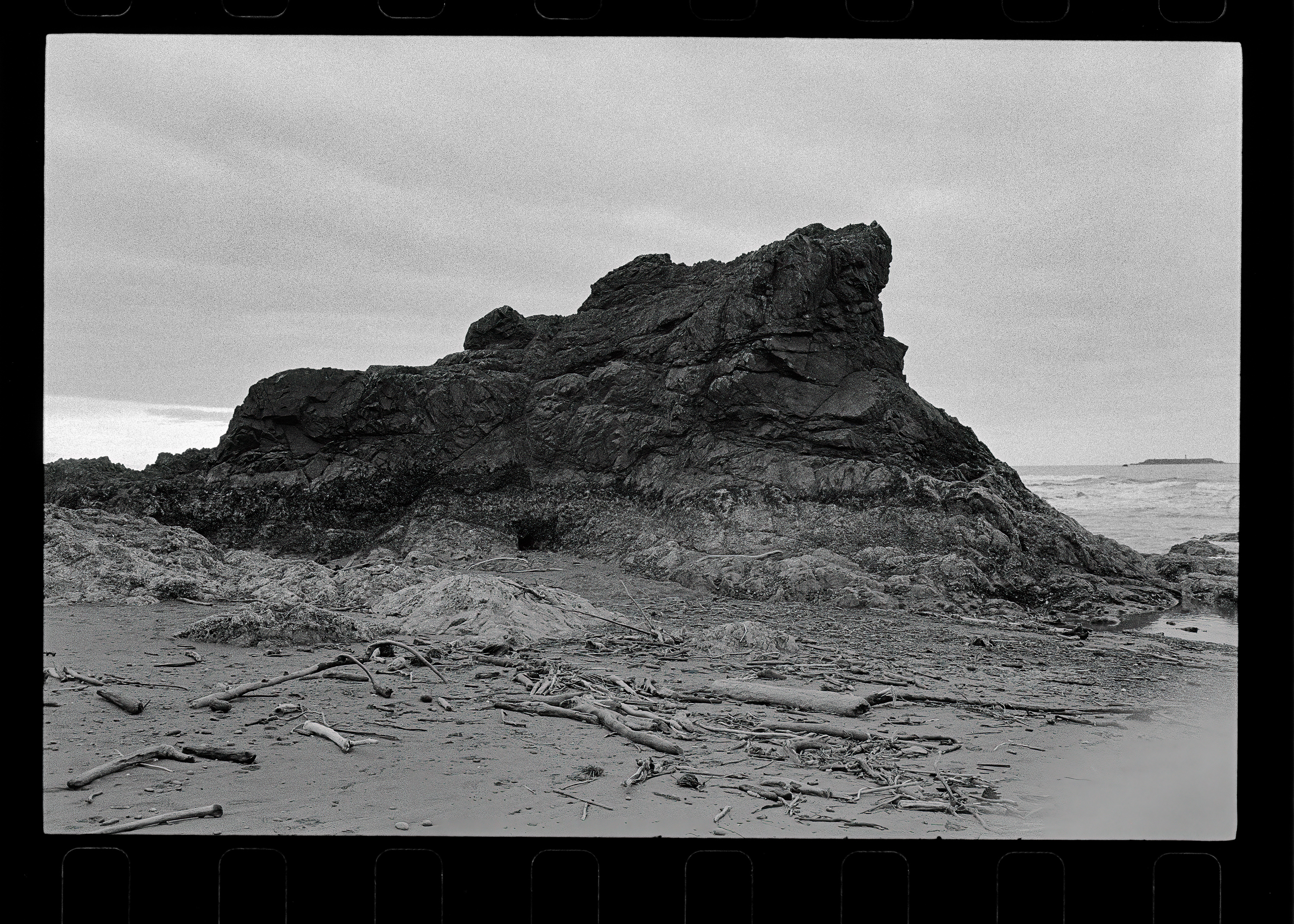 Sea stack on driftwood-strewn sand