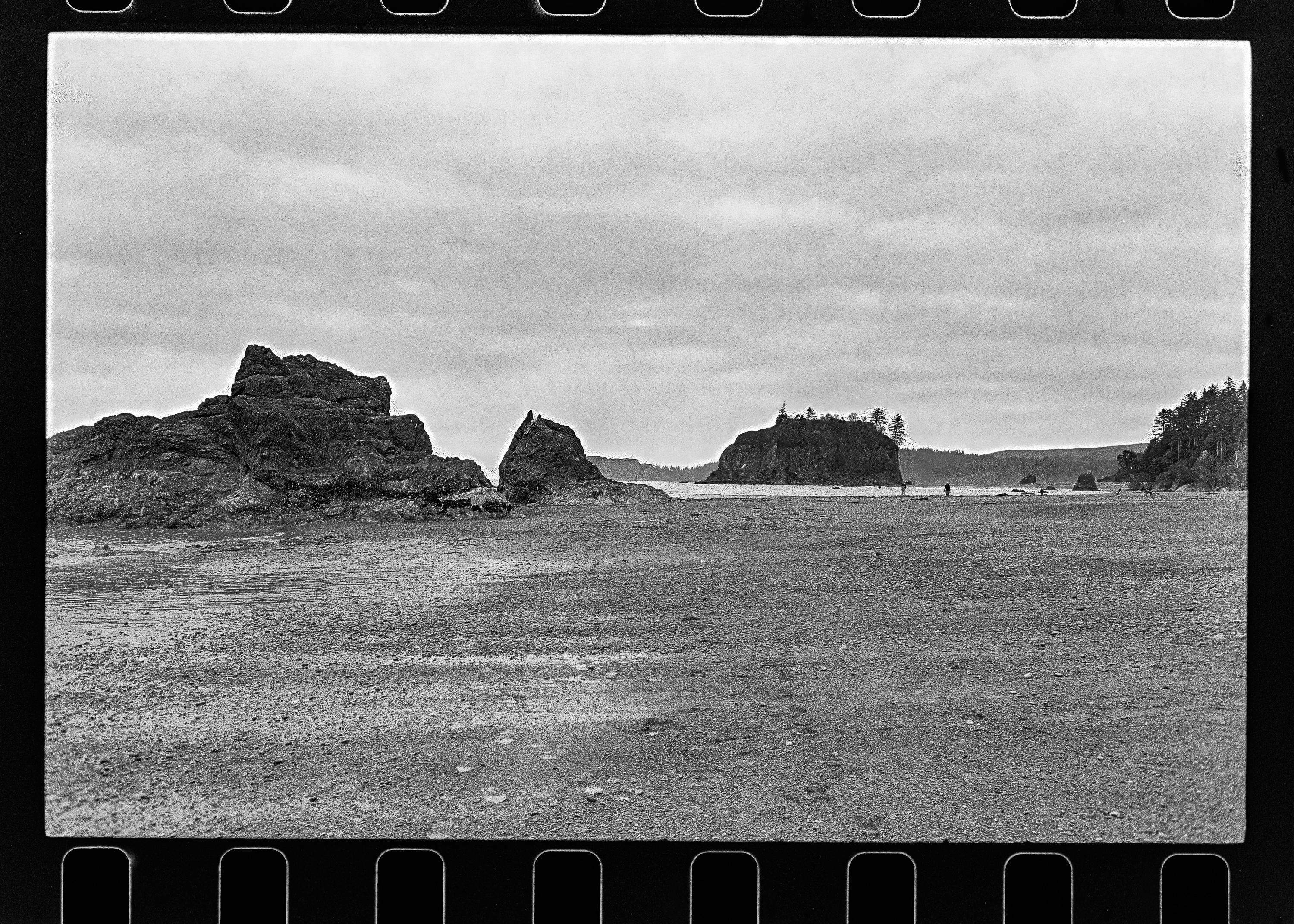 Two stacks at low tide, forested island in distance