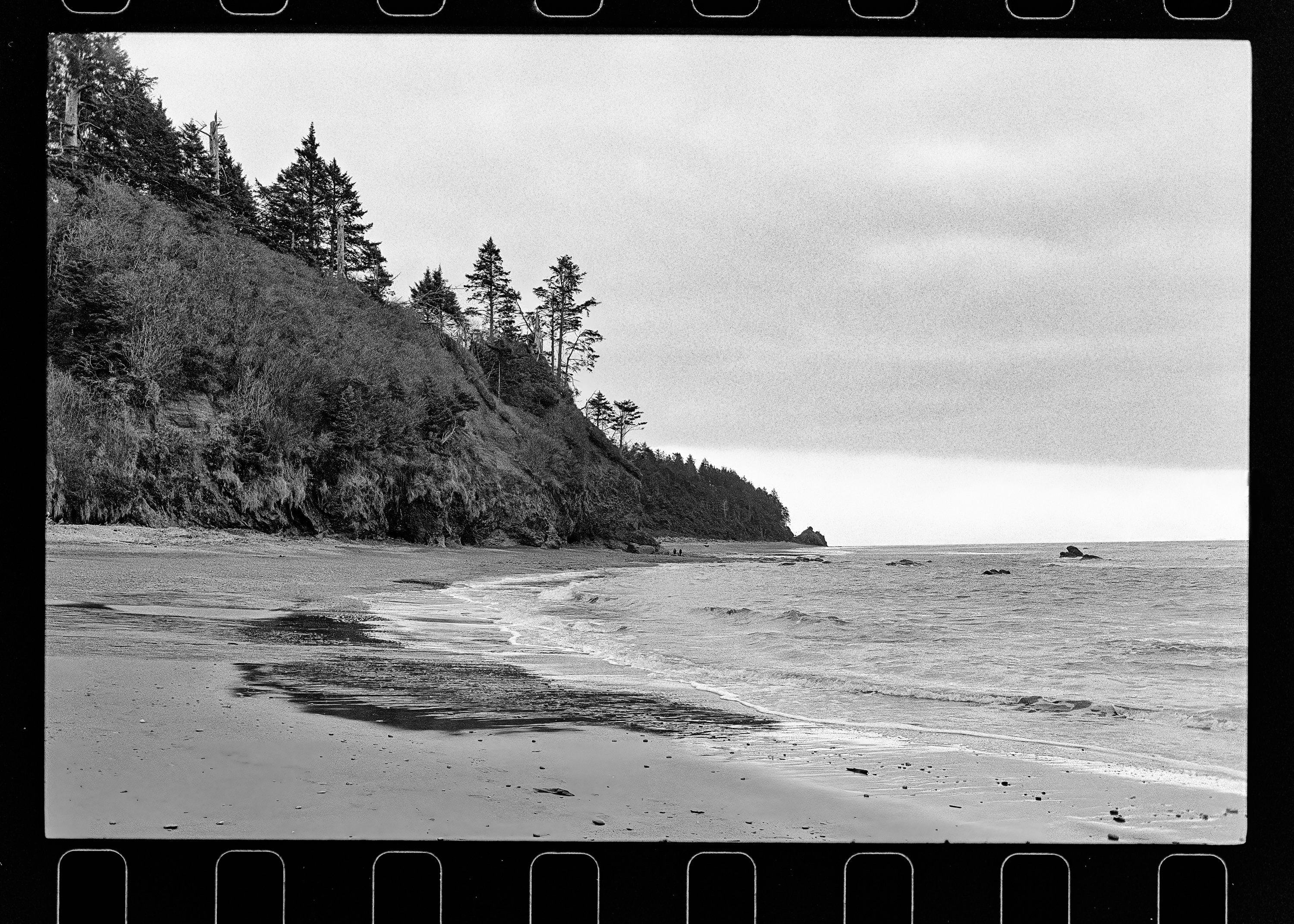 Forested headland over the beach