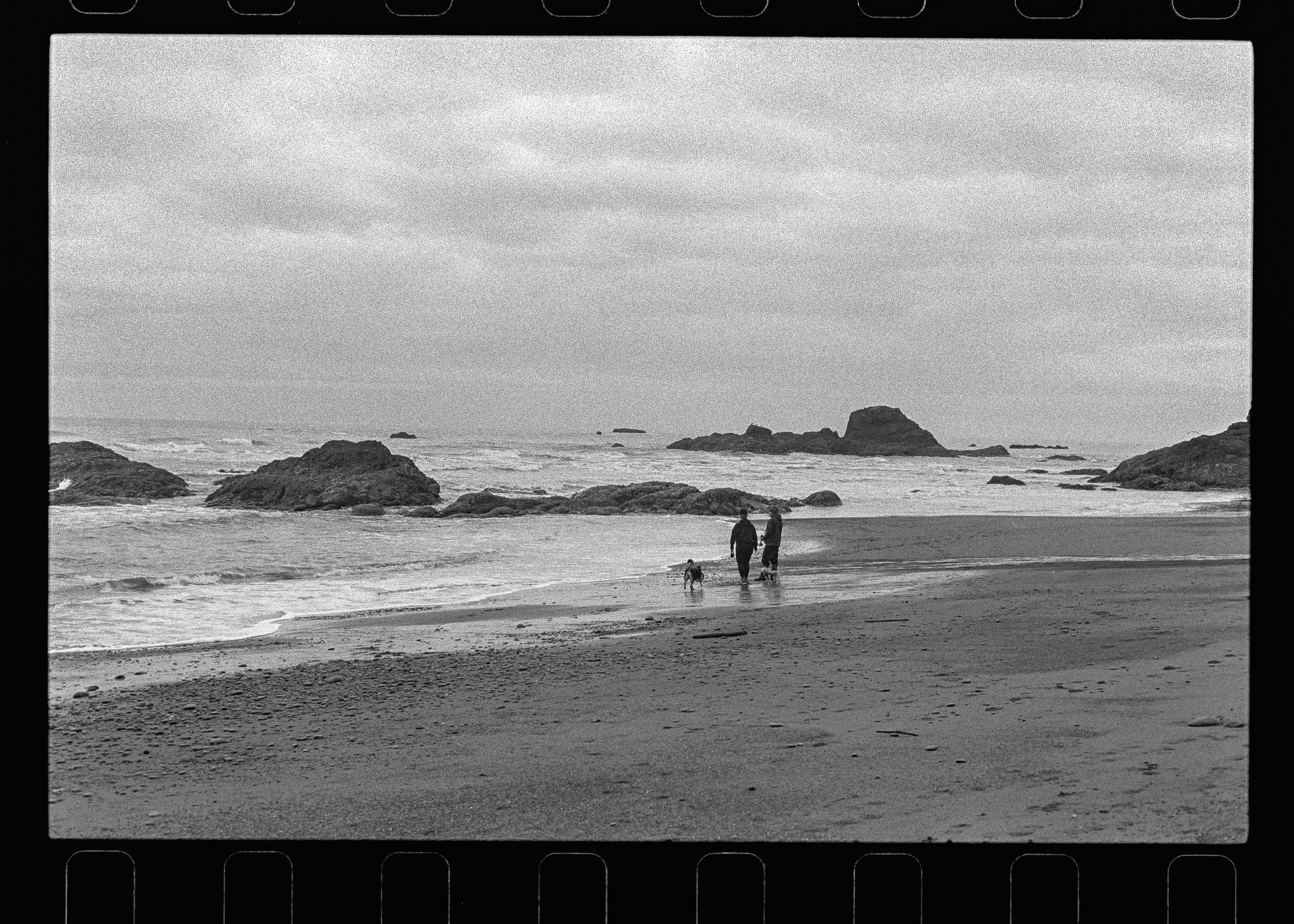 Coastal landscape with stacks