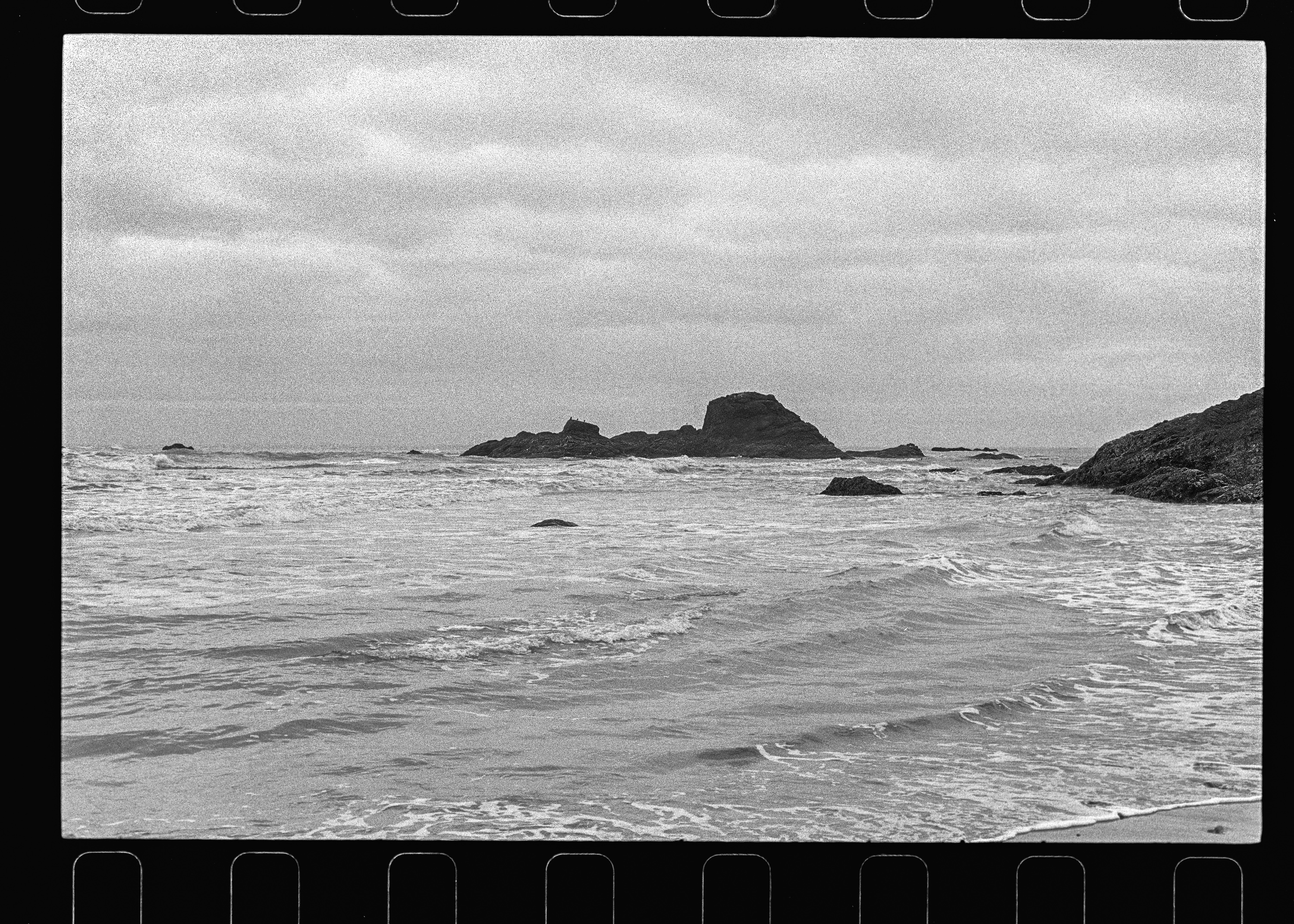 Ruby Beach study