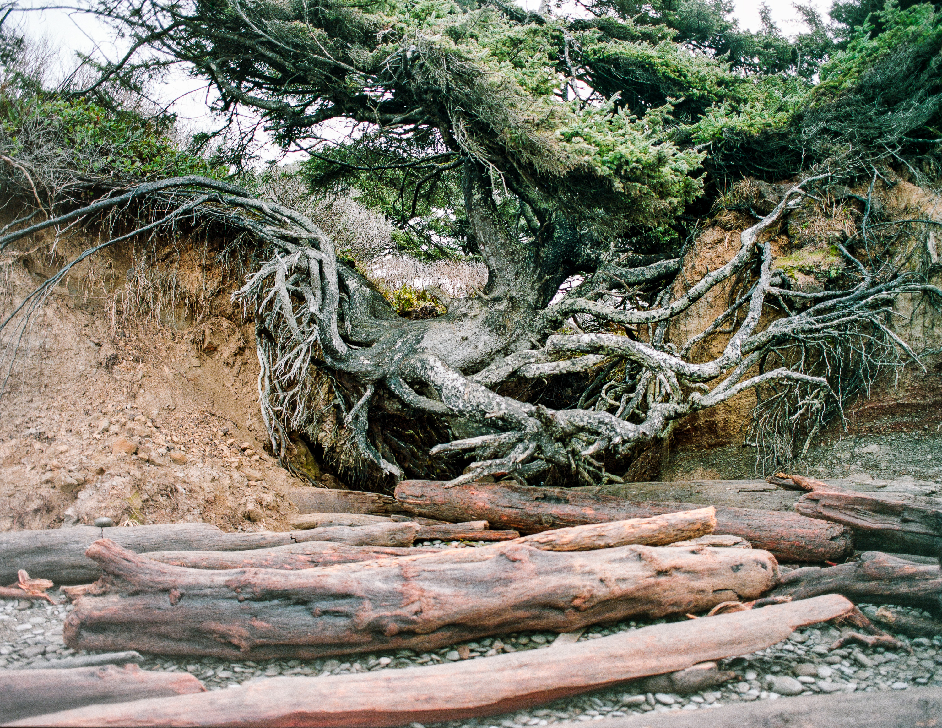 Ruby Beach