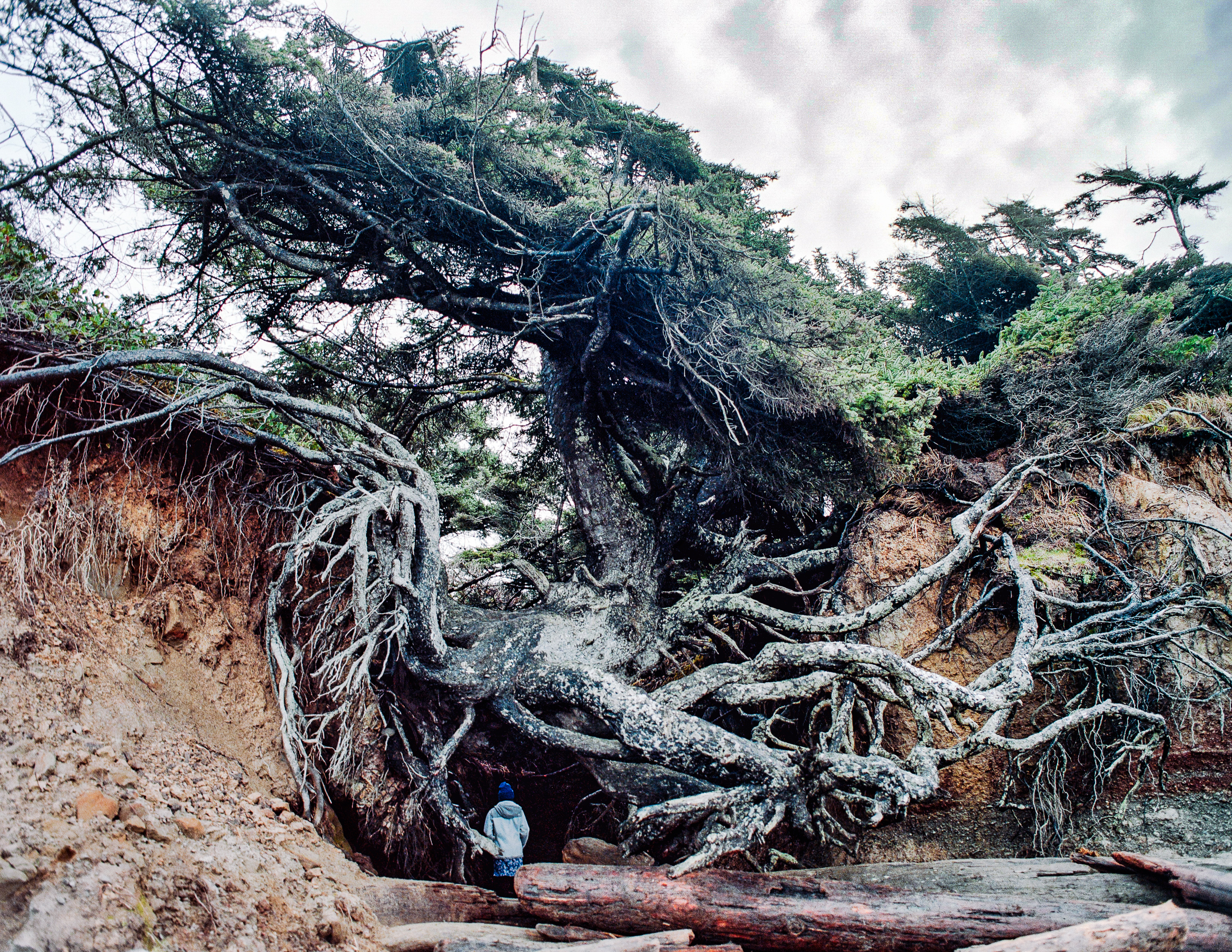 Ruby Beach