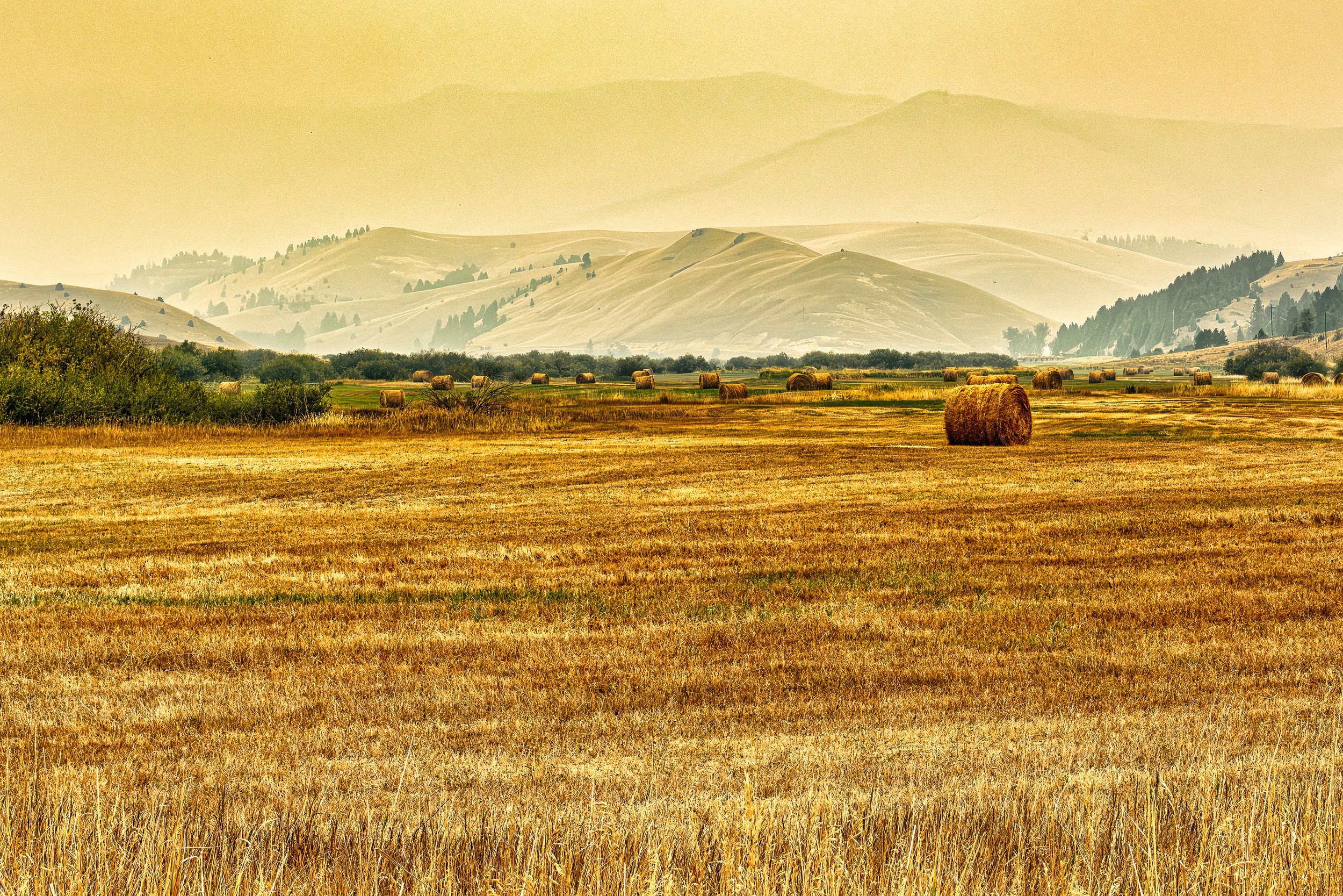 Montana smoky haze