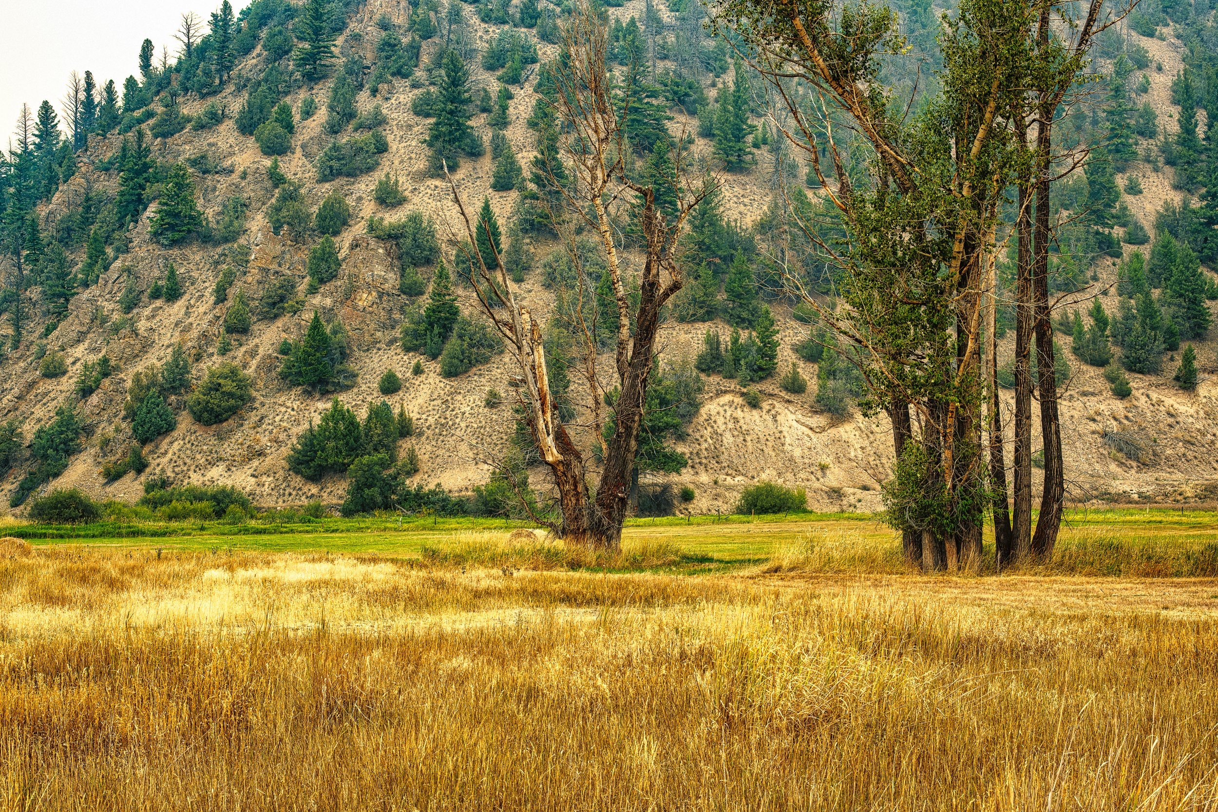 Montana smoky haze
