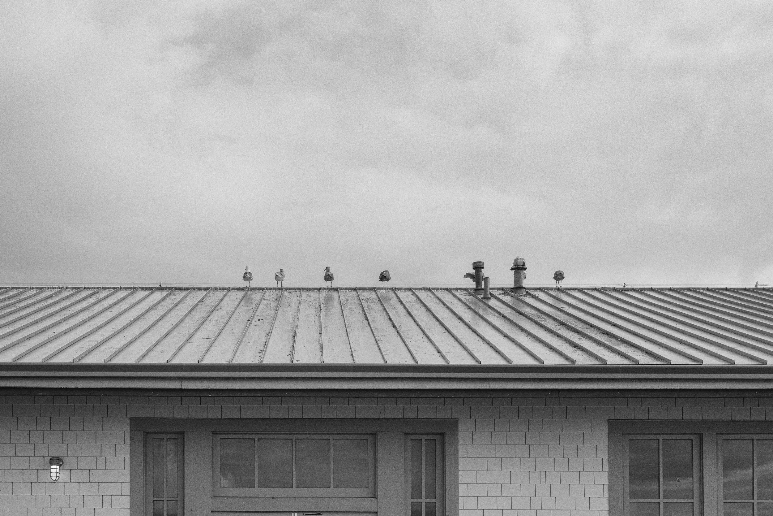 West Seattle stroll
