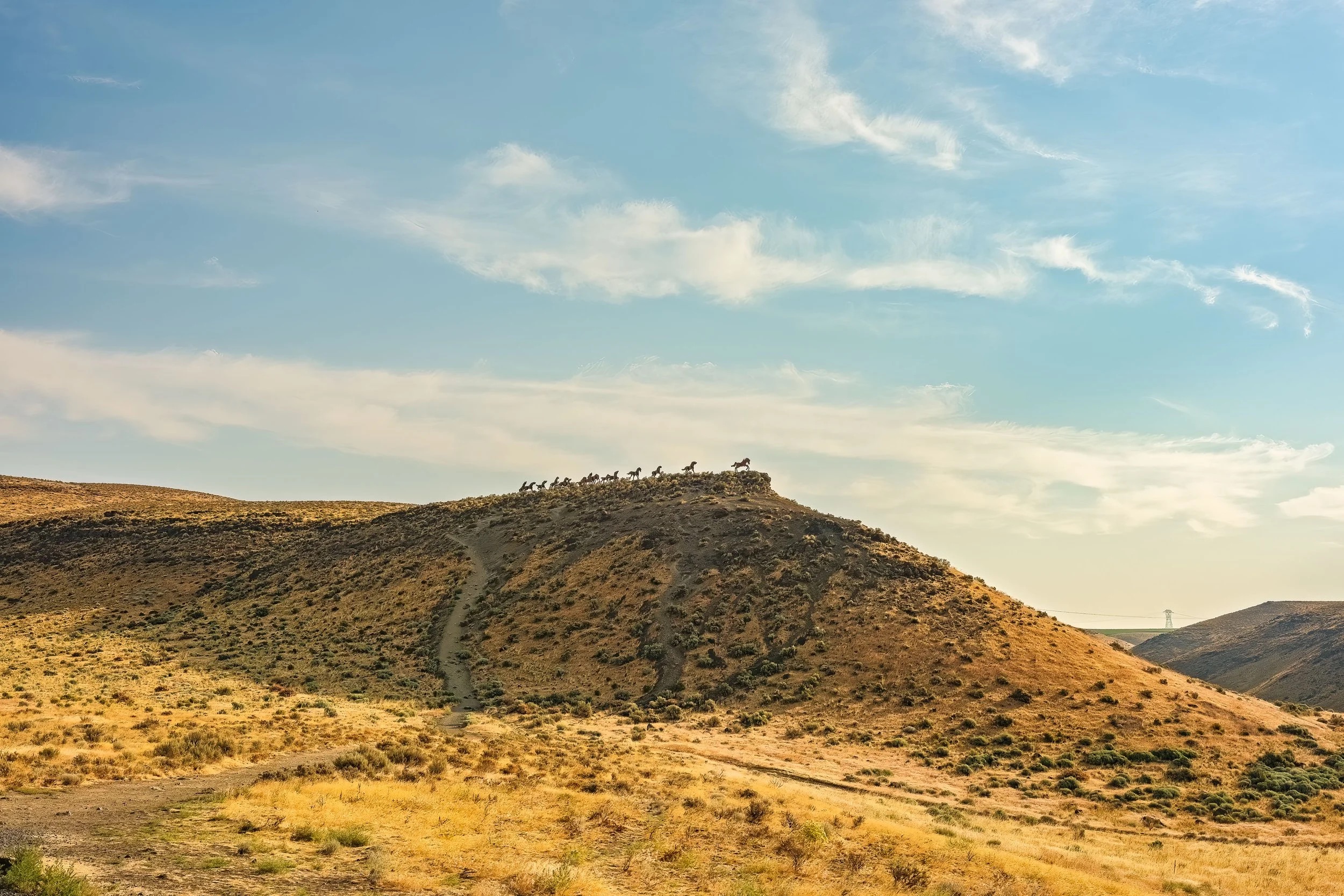 Wild Horses Monument hilltop, distant view
